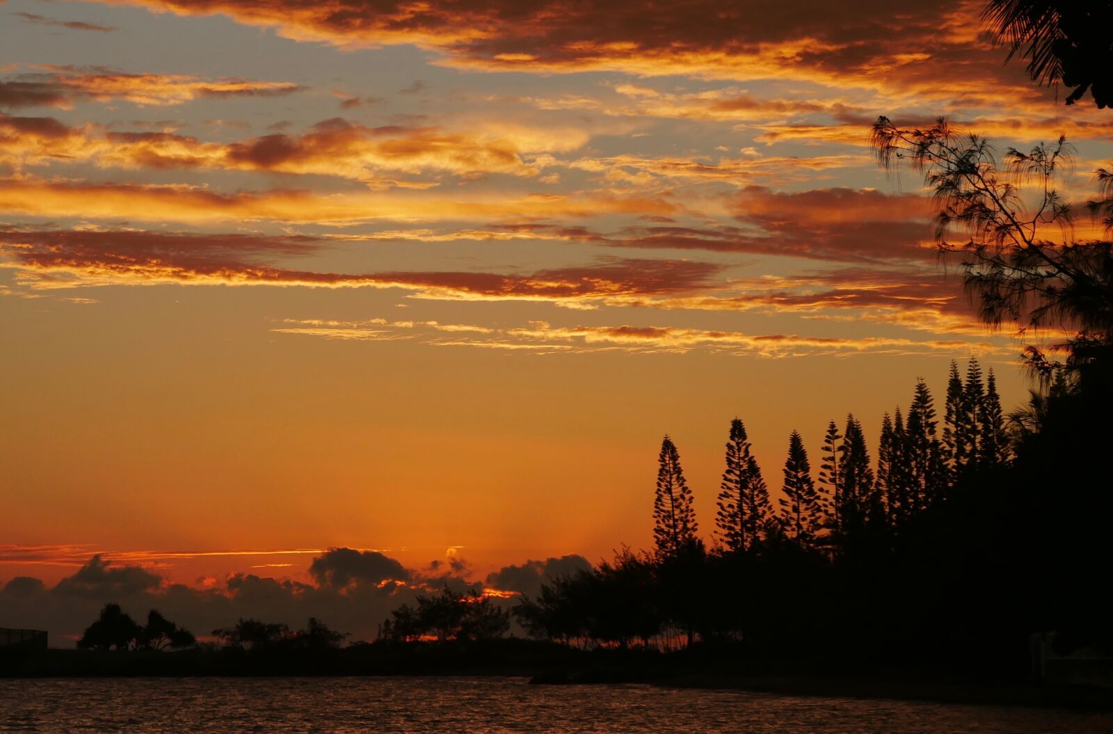 Panasonic Lumix DMC-G85 (Lumix DMC-G80) sample photo. Sunrise, new caledonia, sky photography