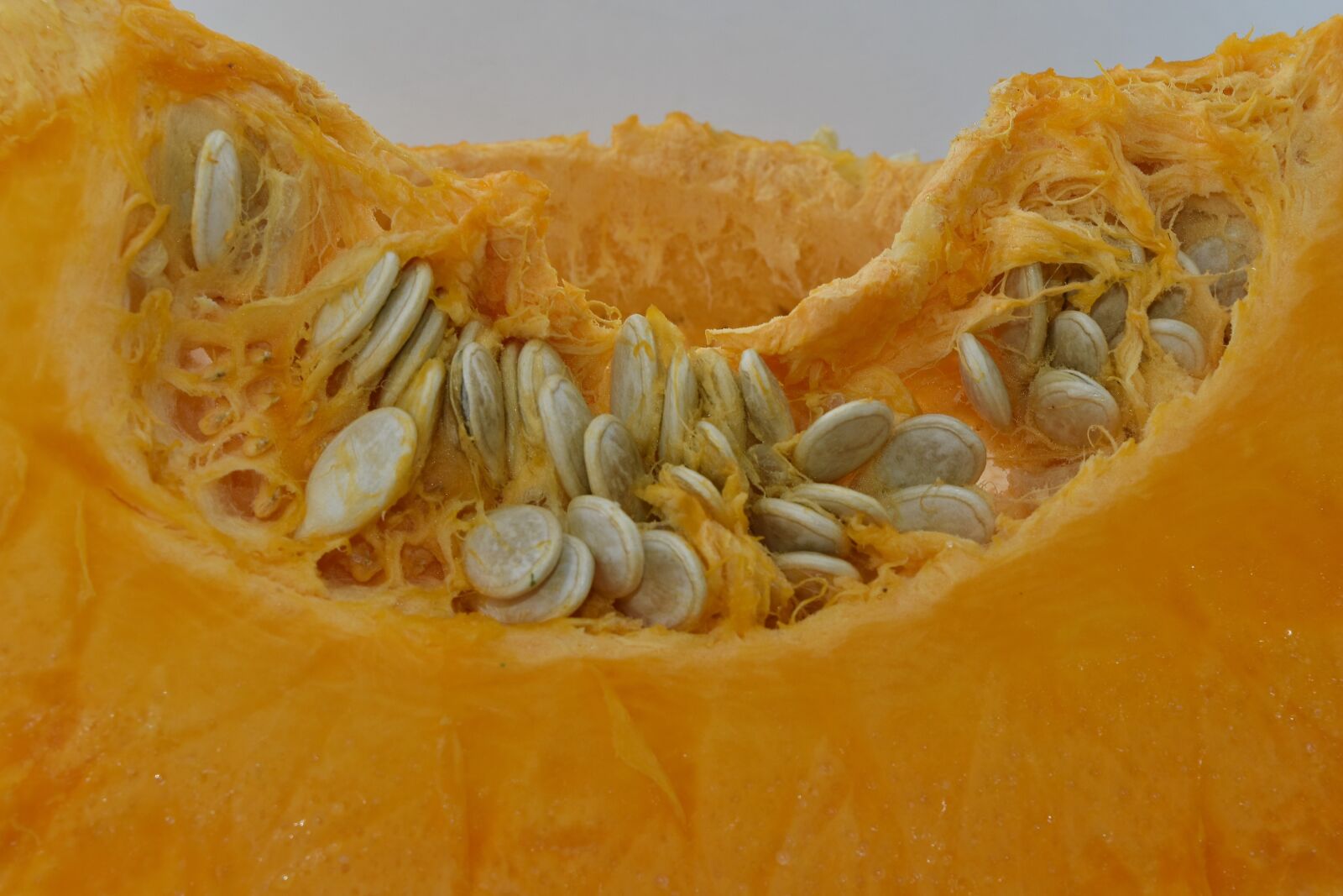 Nikon D5500 sample photo. Orange yellow, pumpkin, pumpkin photography