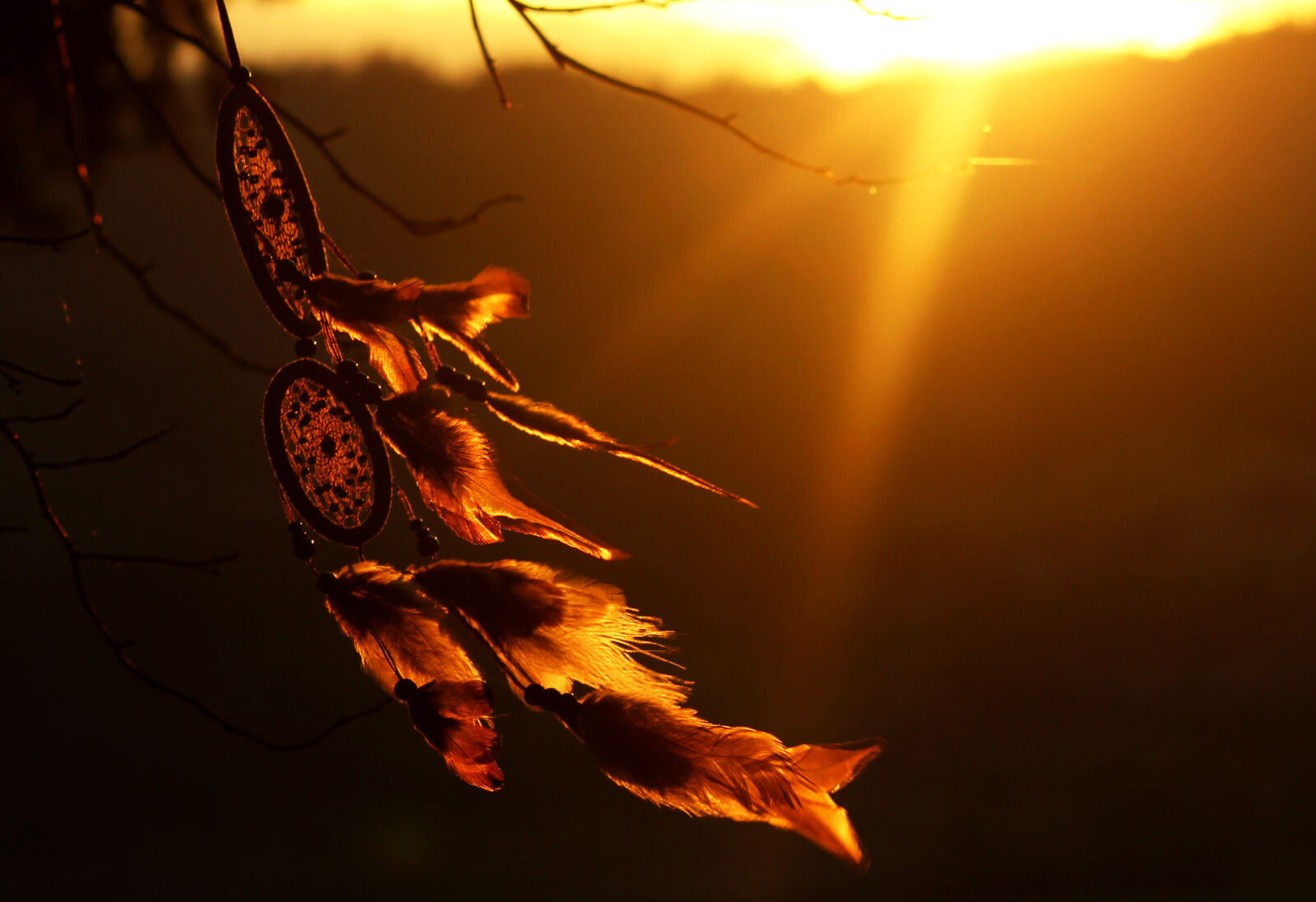 Canon EOS 600D (Rebel EOS T3i / EOS Kiss X5) sample photo. Dreamcatcher, dreams, silhouette, sunset photography