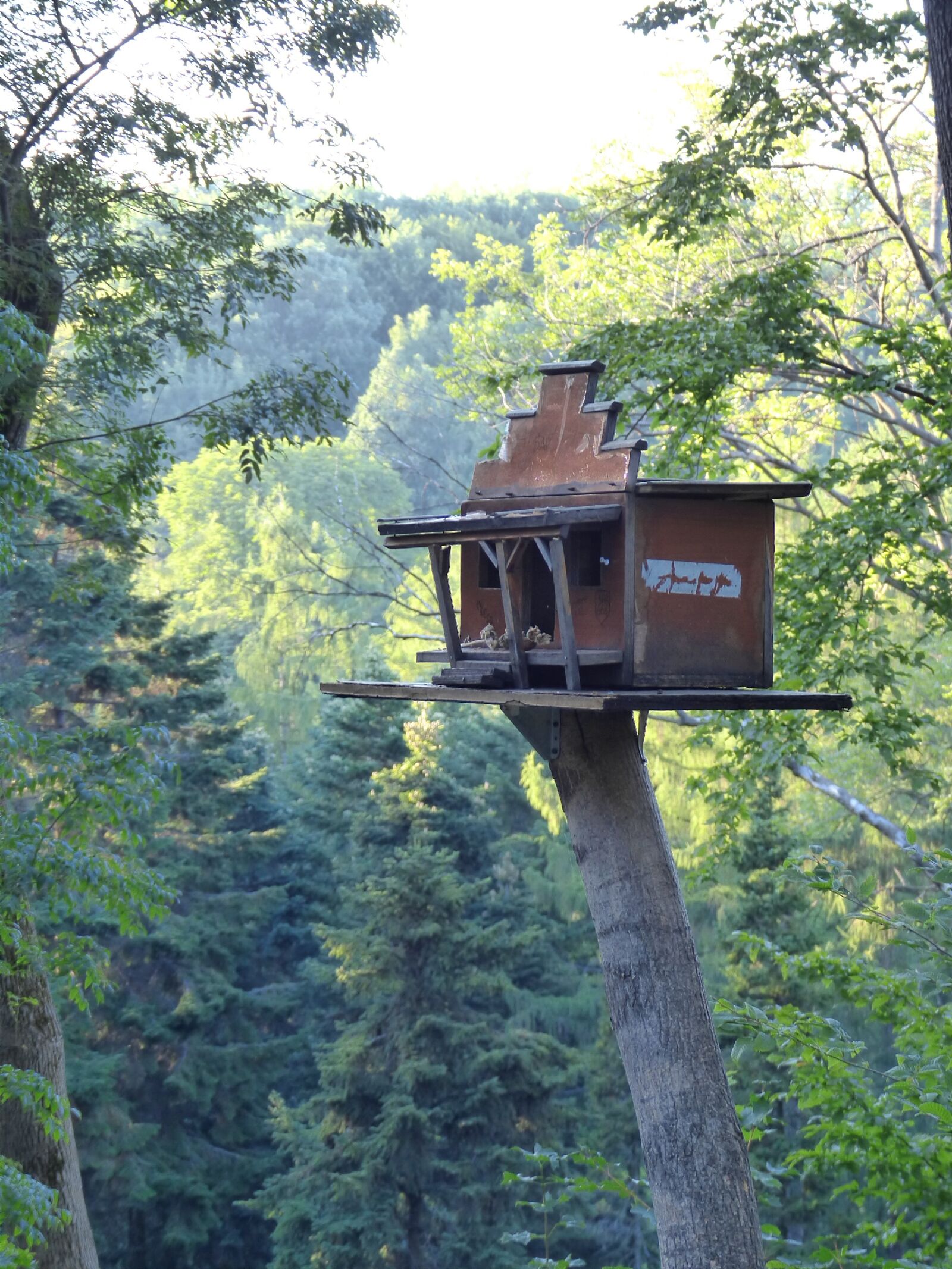 Panasonic PHOTOfunSTUDIO 8.3 PE sample photo. Birdhouse, feeder for birds photography