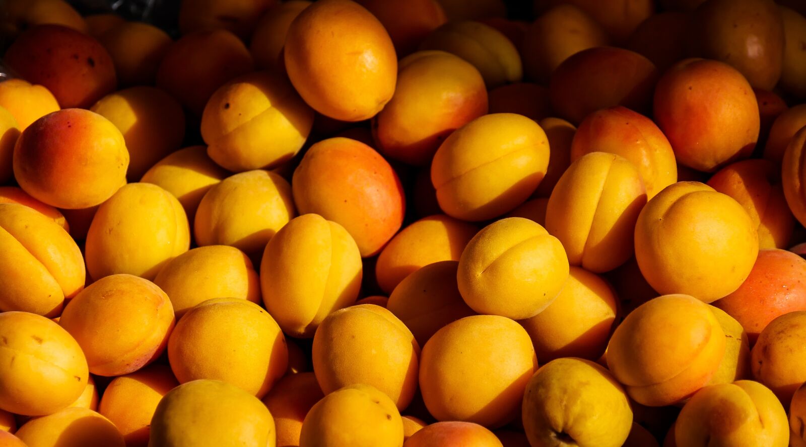 Panasonic DMC-G70 sample photo. Fruit, apricot, peaches photography