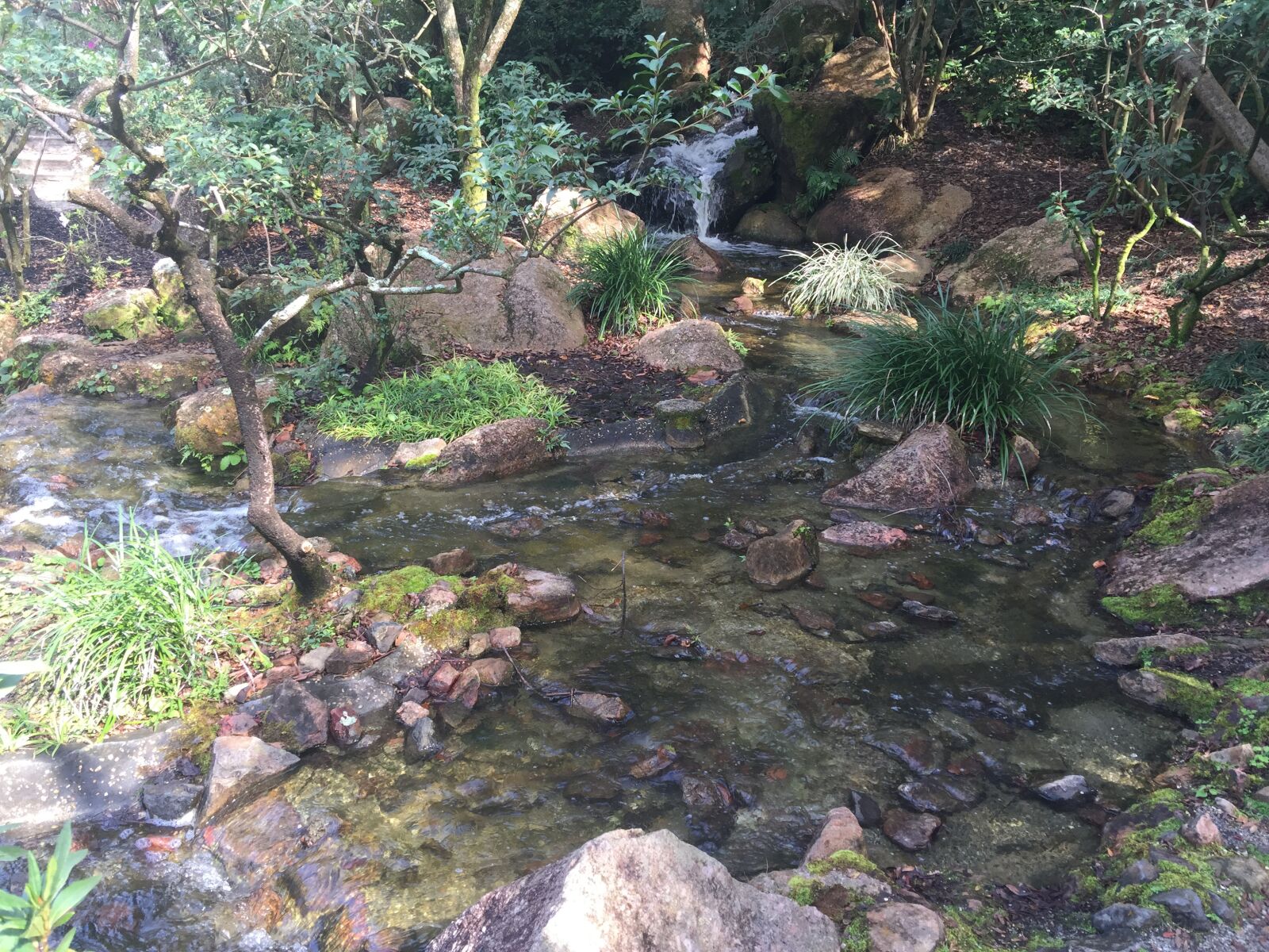 iPhone 6 Plus back camera 4.15mm f/2.2 sample photo. Nature, stream, water photography