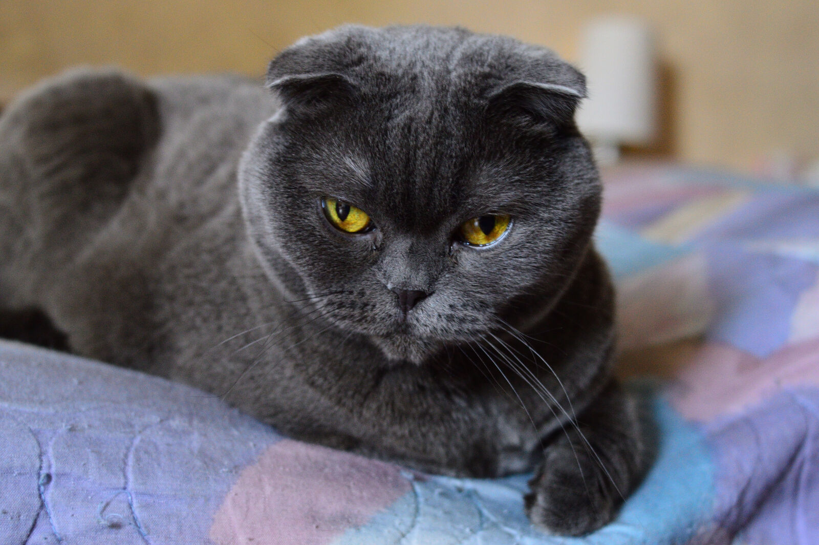 Nikon D3200 sample photo