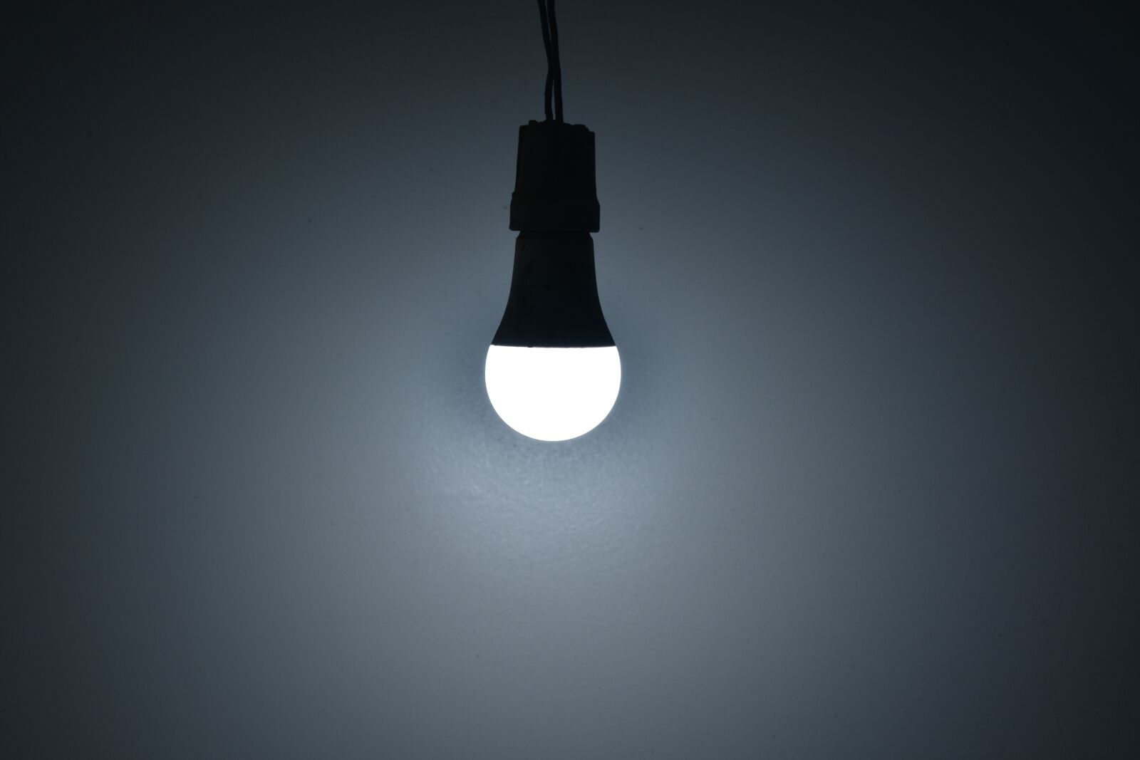 Nikon D3400 sample photo. Lamb, light, white photography