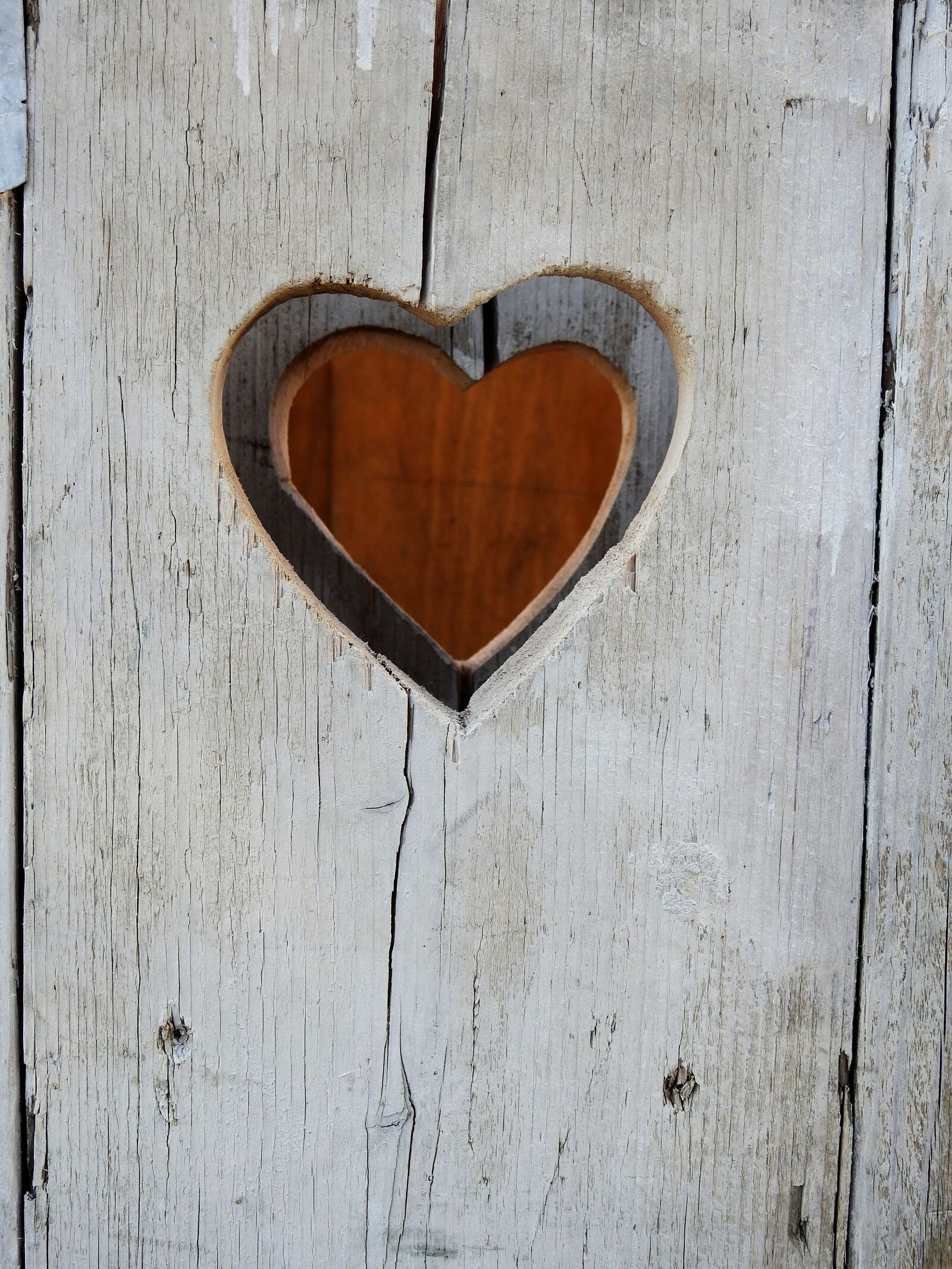 Nikon Coolpix P900 sample photo. Heart, love, romance photography