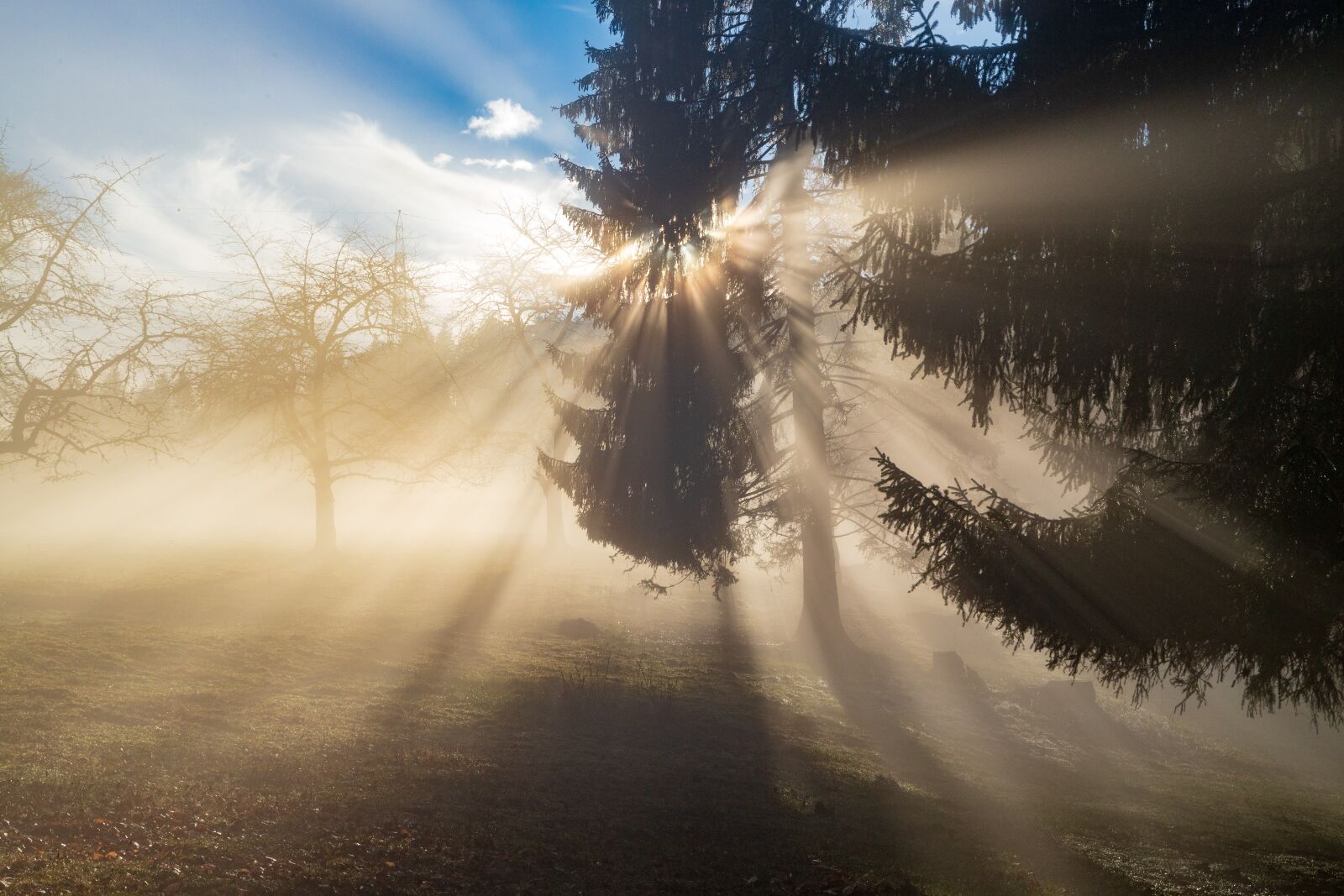 Canon EOS 6D Mark II sample photo. Rays, sun, light photography