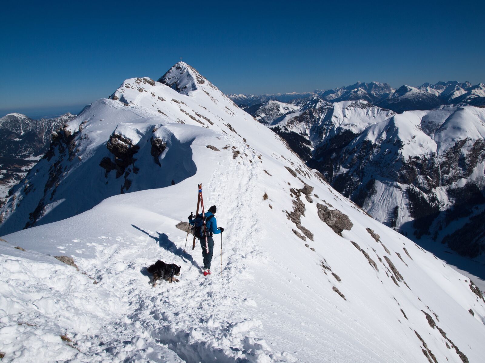 Olympus E-30 sample photo. Backcountry skiiing, dog, mountains photography