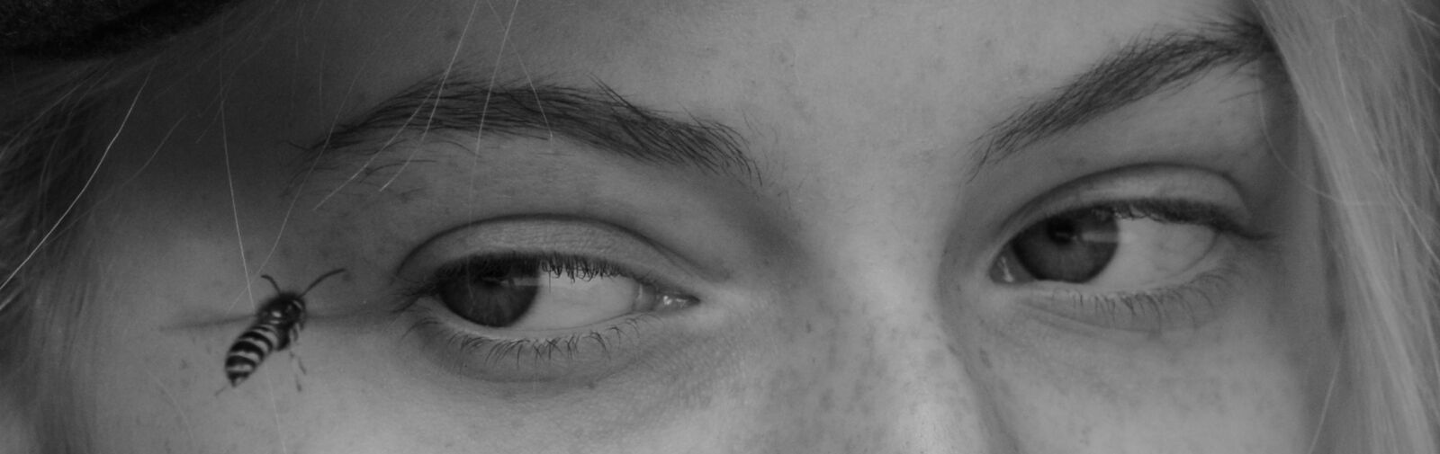 Nikon D7100 sample photo. Woman, wasp, eyes photography
