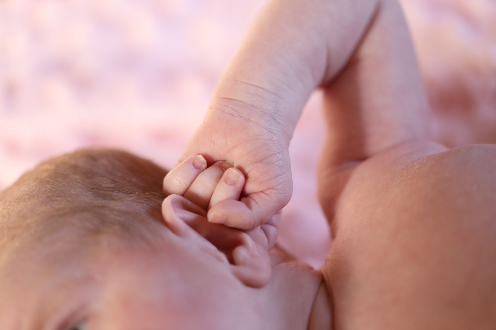 Canon EF 100mm F2.8L Macro IS USM sample photo. New born baby, baby photography