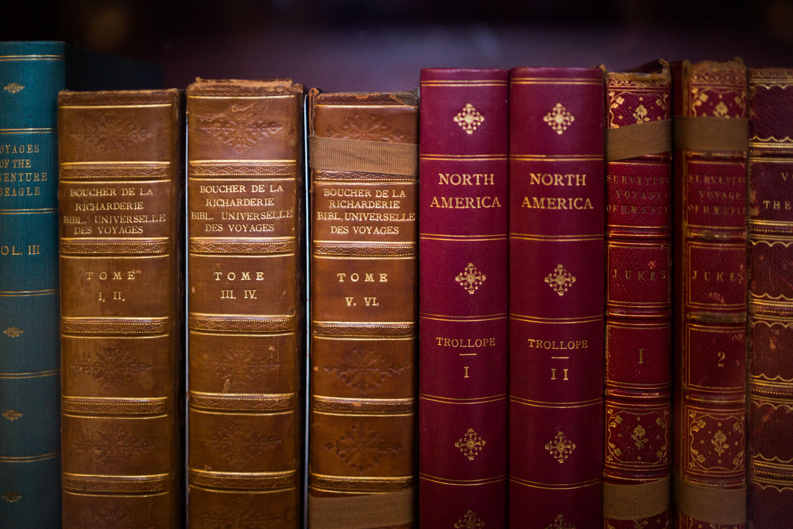 Canon EOS 6D + Sigma 35mm F1.4 DG HSM Art sample photo. North, america, book, and photography