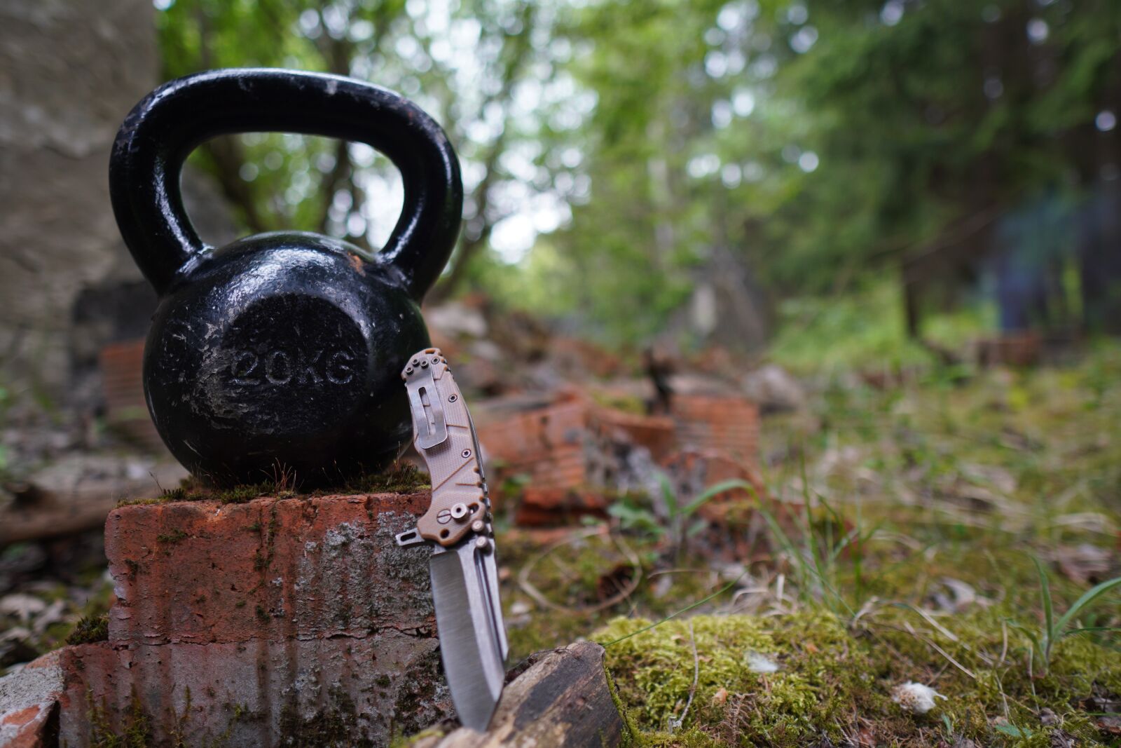 Sony a6400 + Sigma 16mm F1.4 DC DN | C sample photo. Carnivore, kettlebell, trening photography