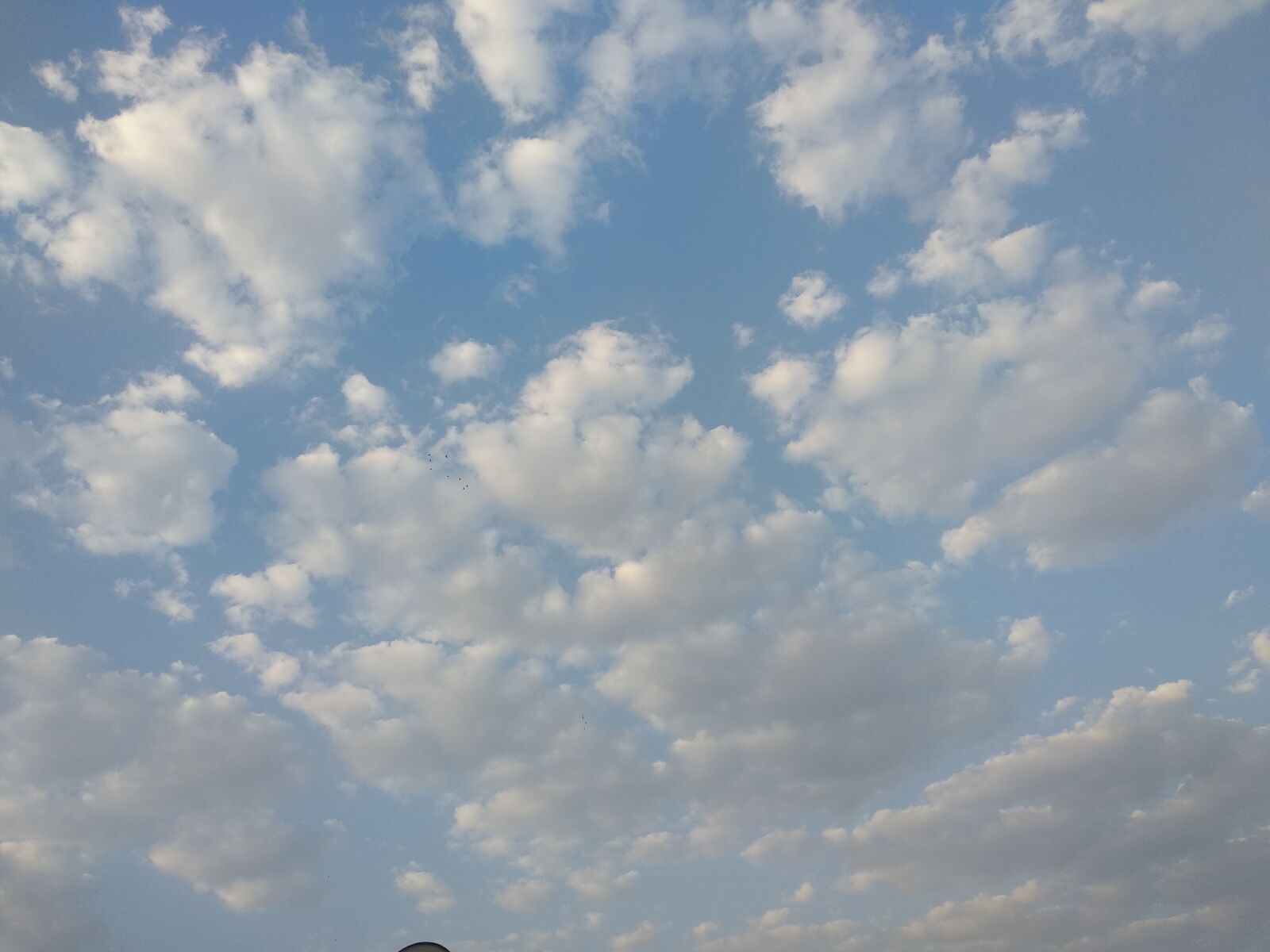 Xiaomi Mi A1 sample photo. Morning sky, sky, morning photography