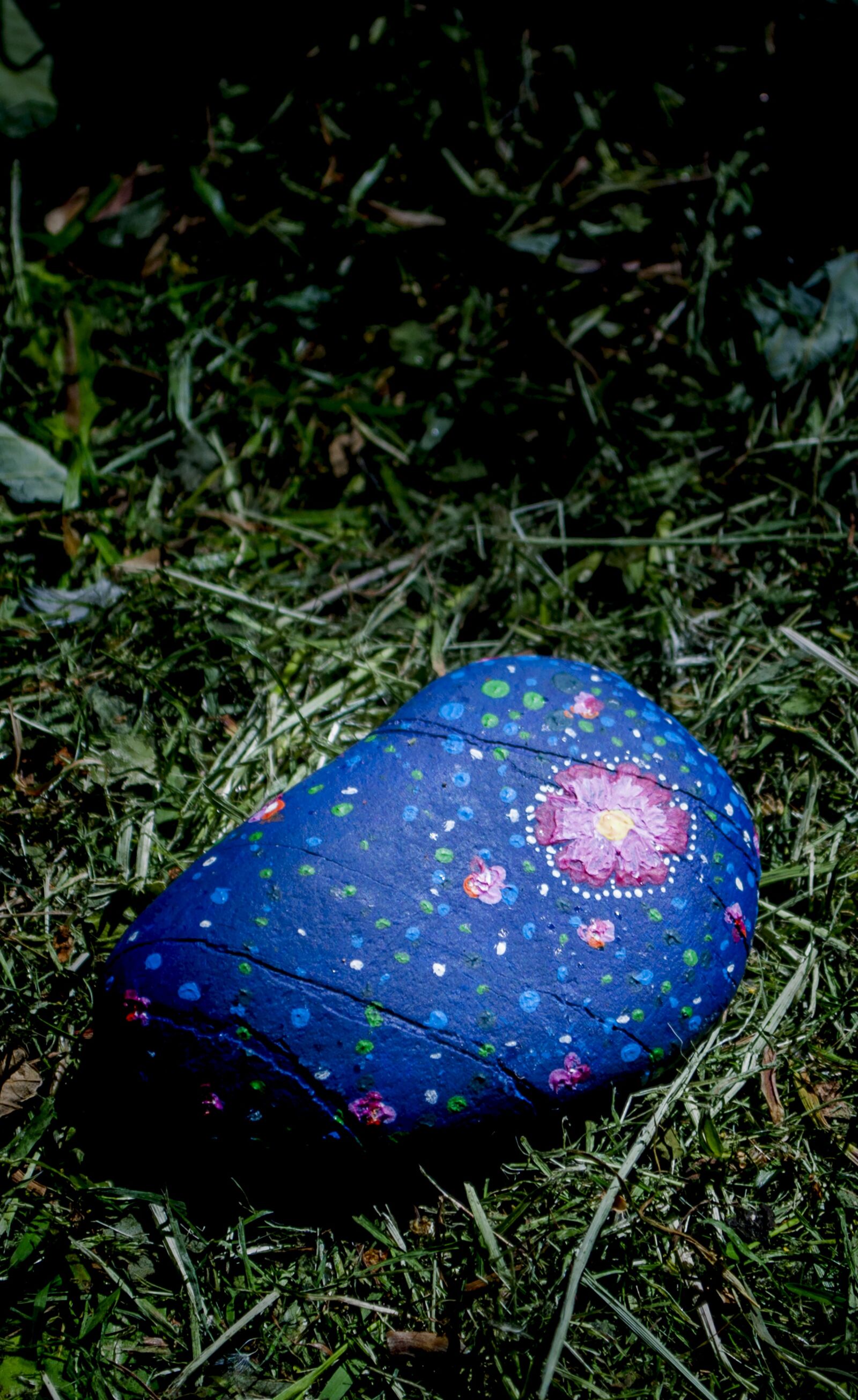 Nikon D90 sample photo. Paint, stone, blue photography