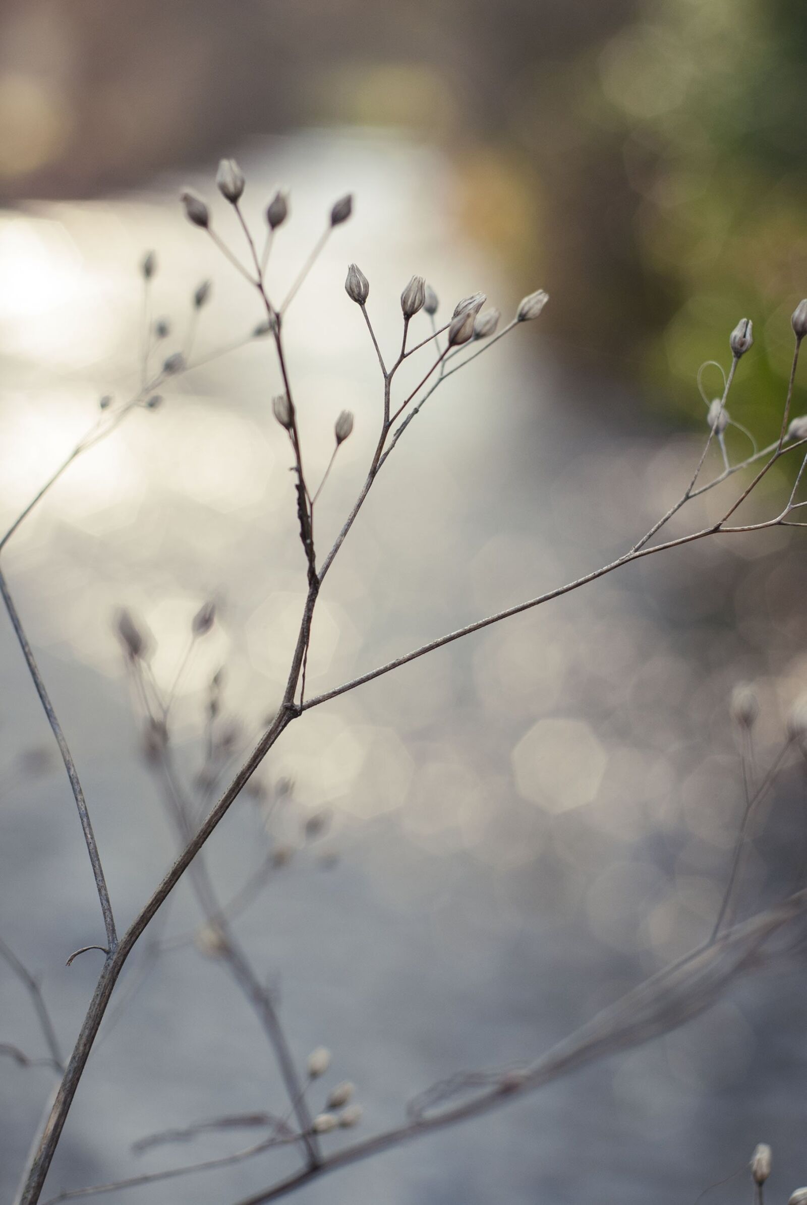 Nikon D40X sample photo. River, water, bokeh photography