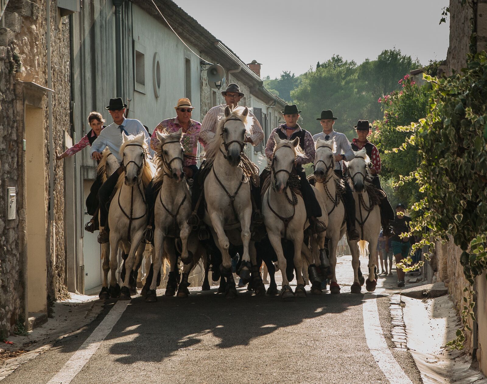 Pentax K10D sample photo. Camargue, feria, camargue race photography