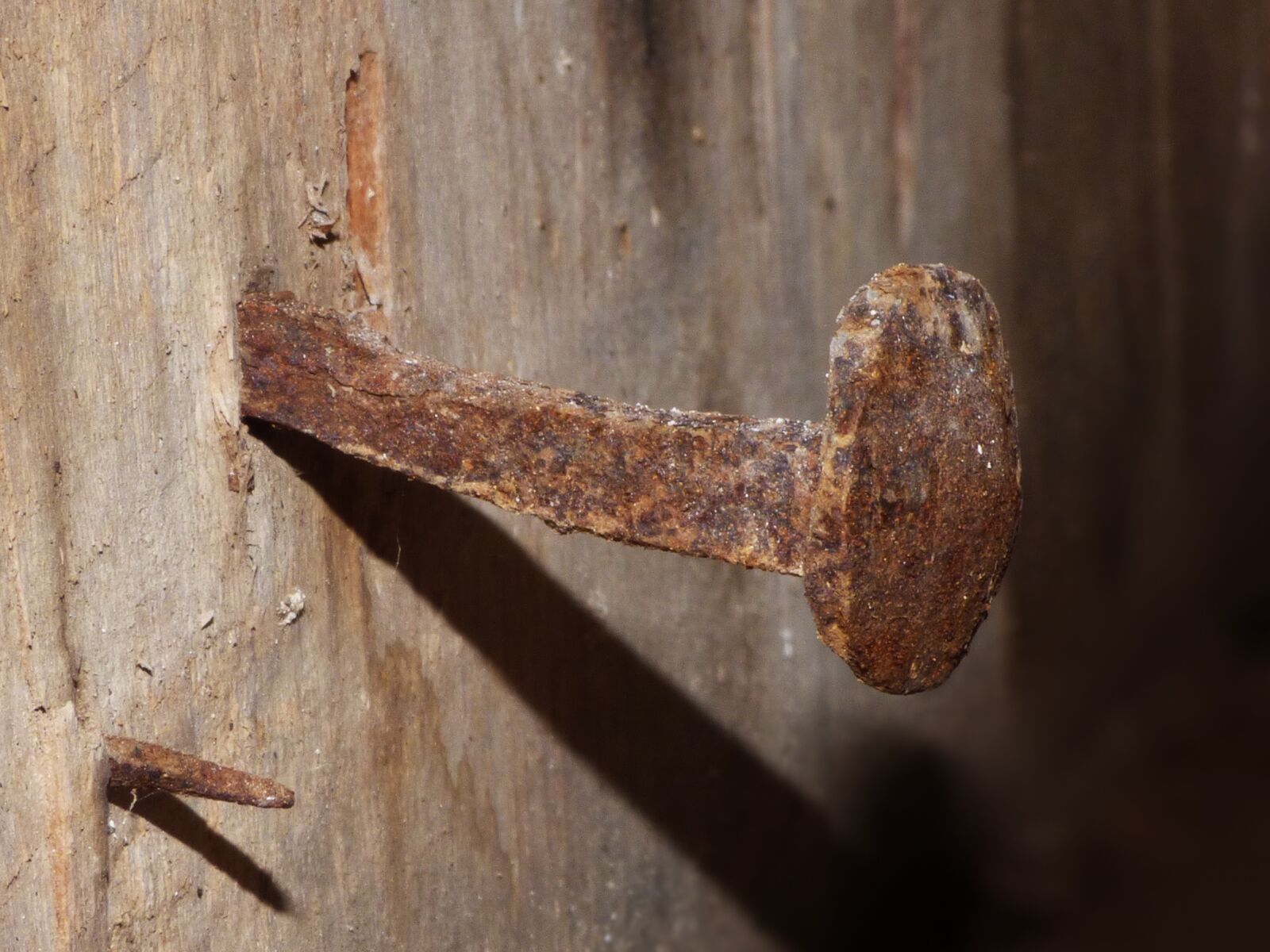Panasonic Lumix DMC-FZ70 sample photo. Nail, iron, rusty photography