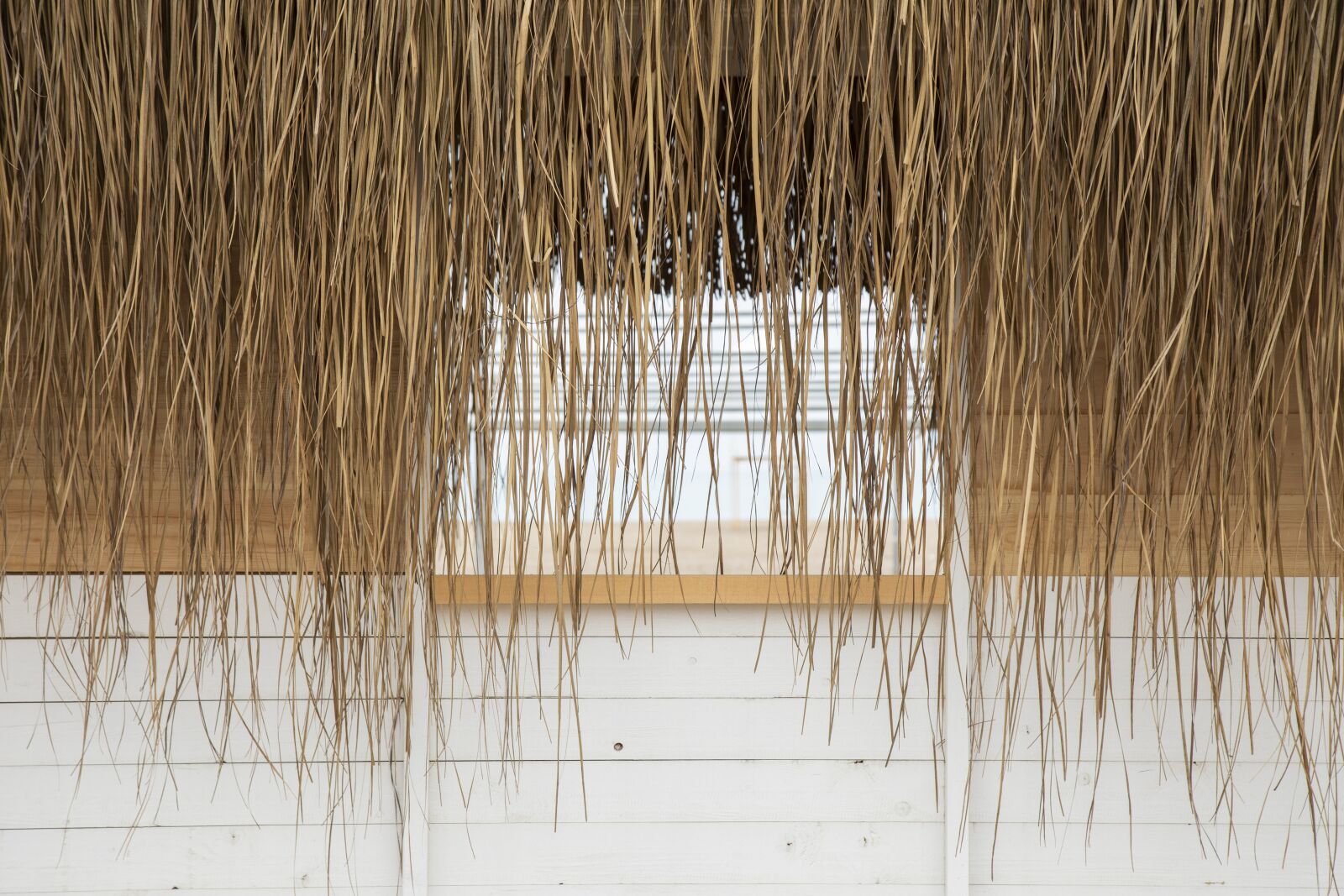Canon EOS 5D Mark IV sample photo. Wire mesh, hay, tropical photography