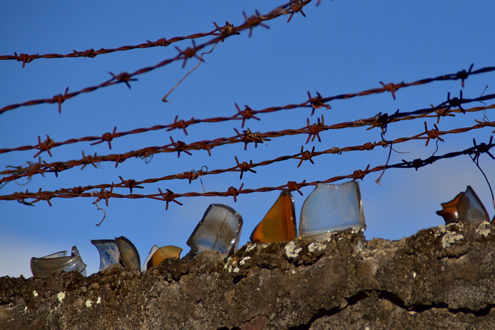 Nikon D3200 sample photo. Wire, security, fence photography