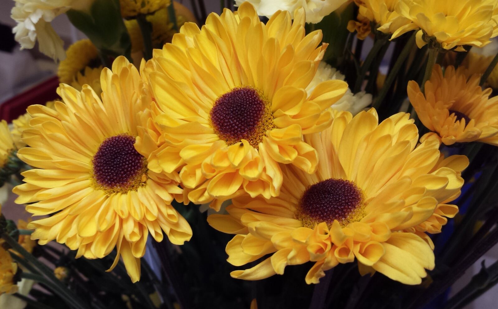 Samsung Galaxy S4 sample photo. Flowers, yellow, yellow flowers photography