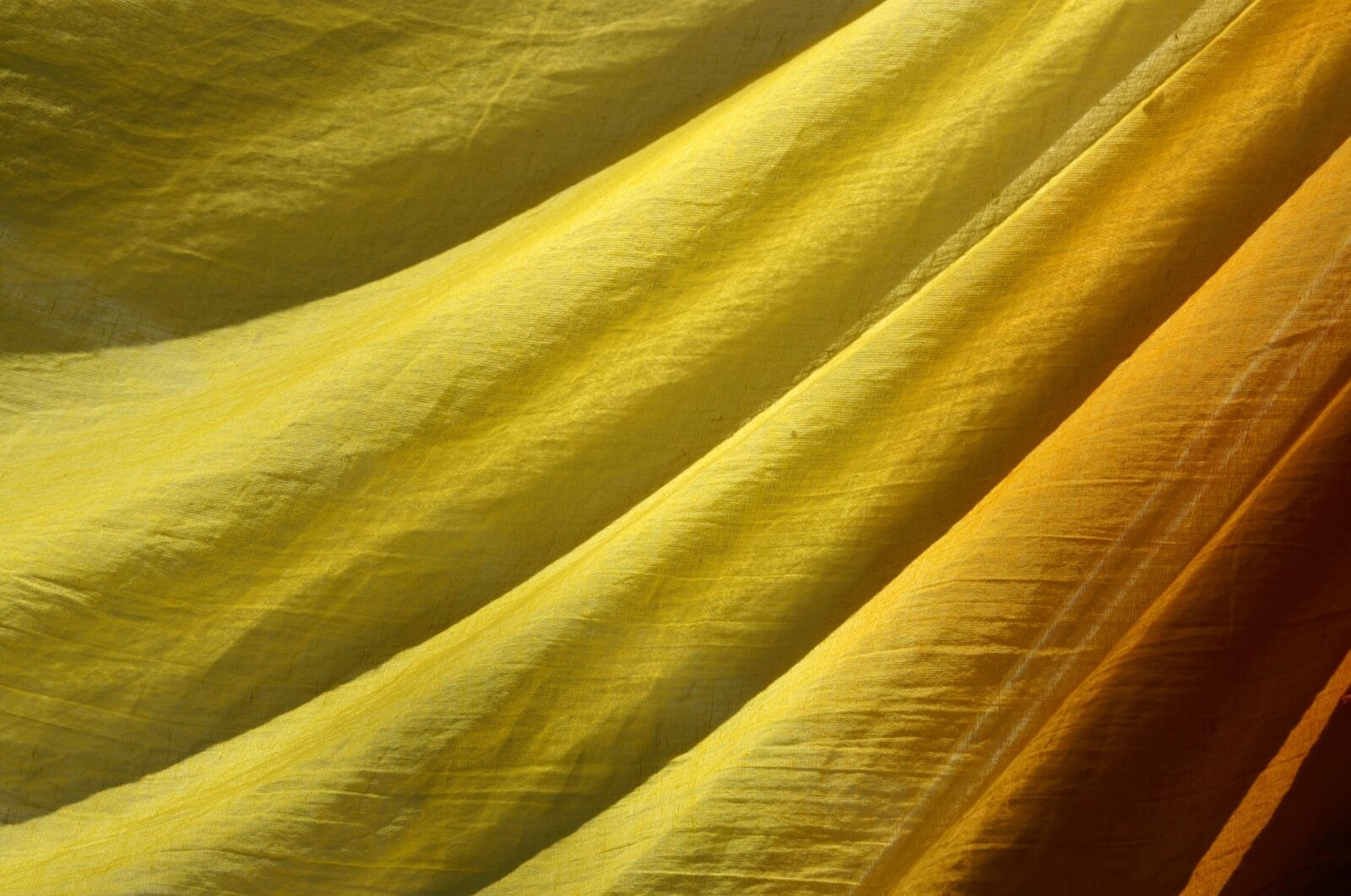 KONICA MINOLTA DYNAX 5D sample photo. Yellow, fabric, structure photography