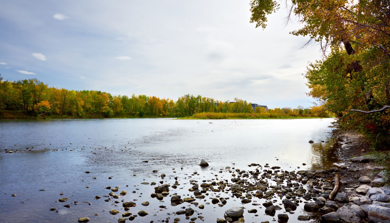 Sony FE 28mm F2 sample photo. Bow river, park, river photography
