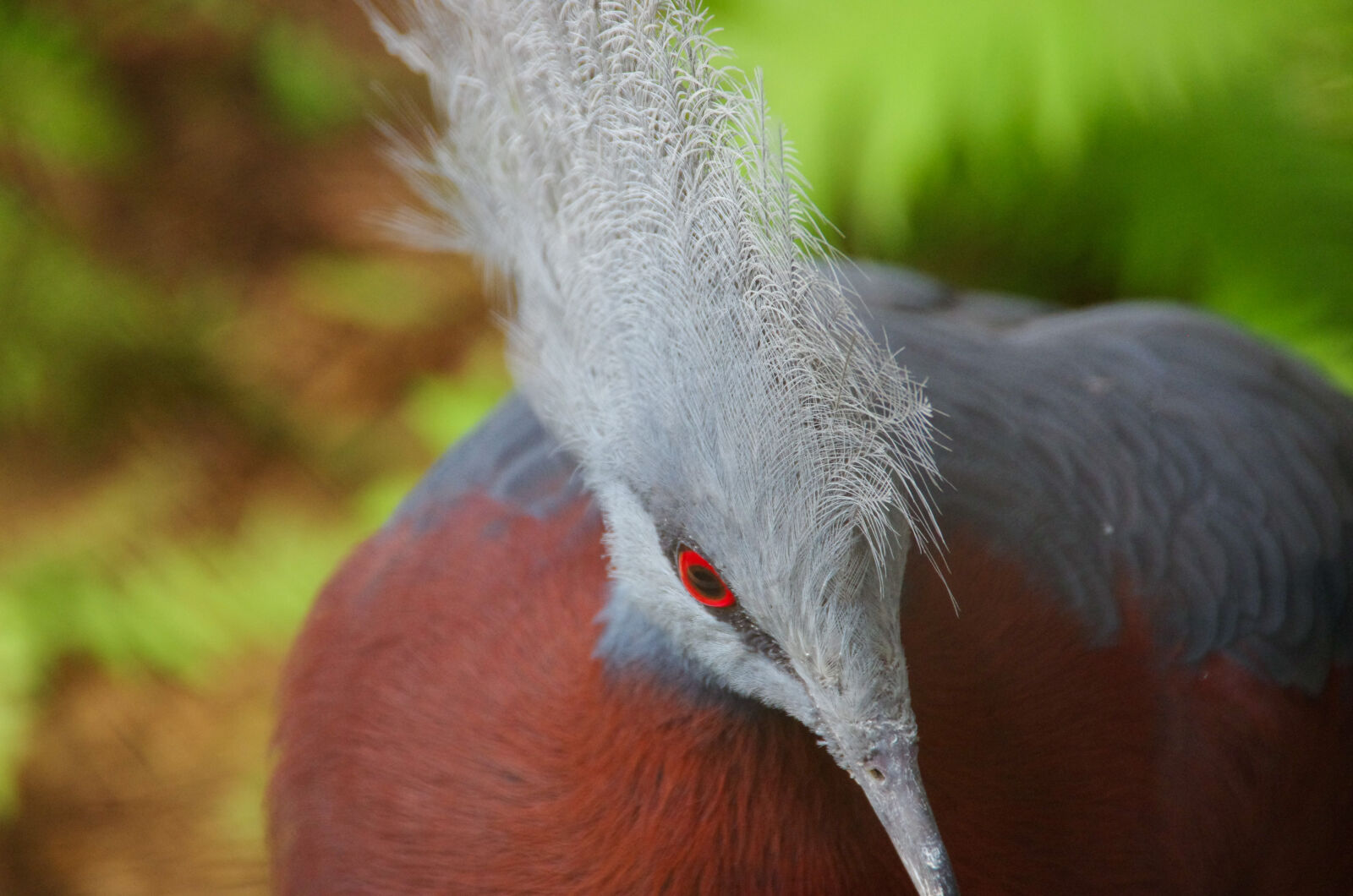 Pentax K-5 sample photo