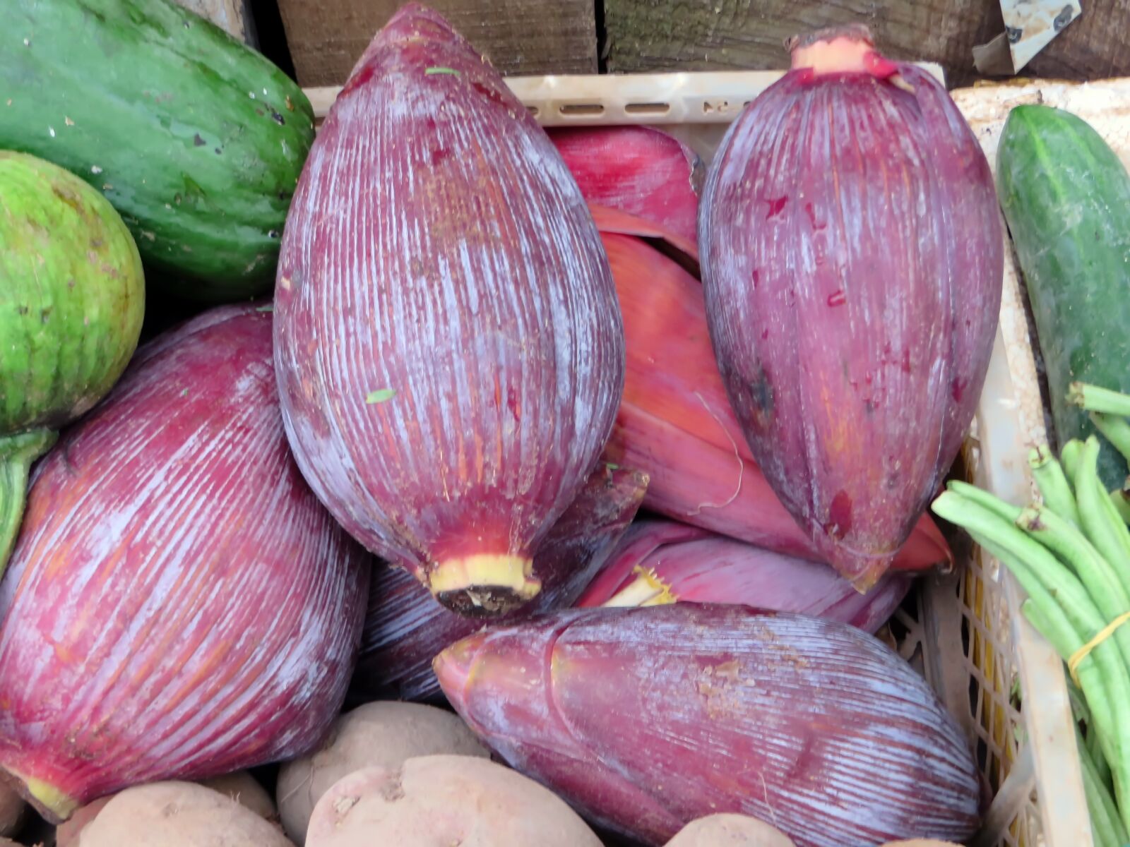 Canon PowerShot SX270 HS sample photo. Laos, market, banana flower photography