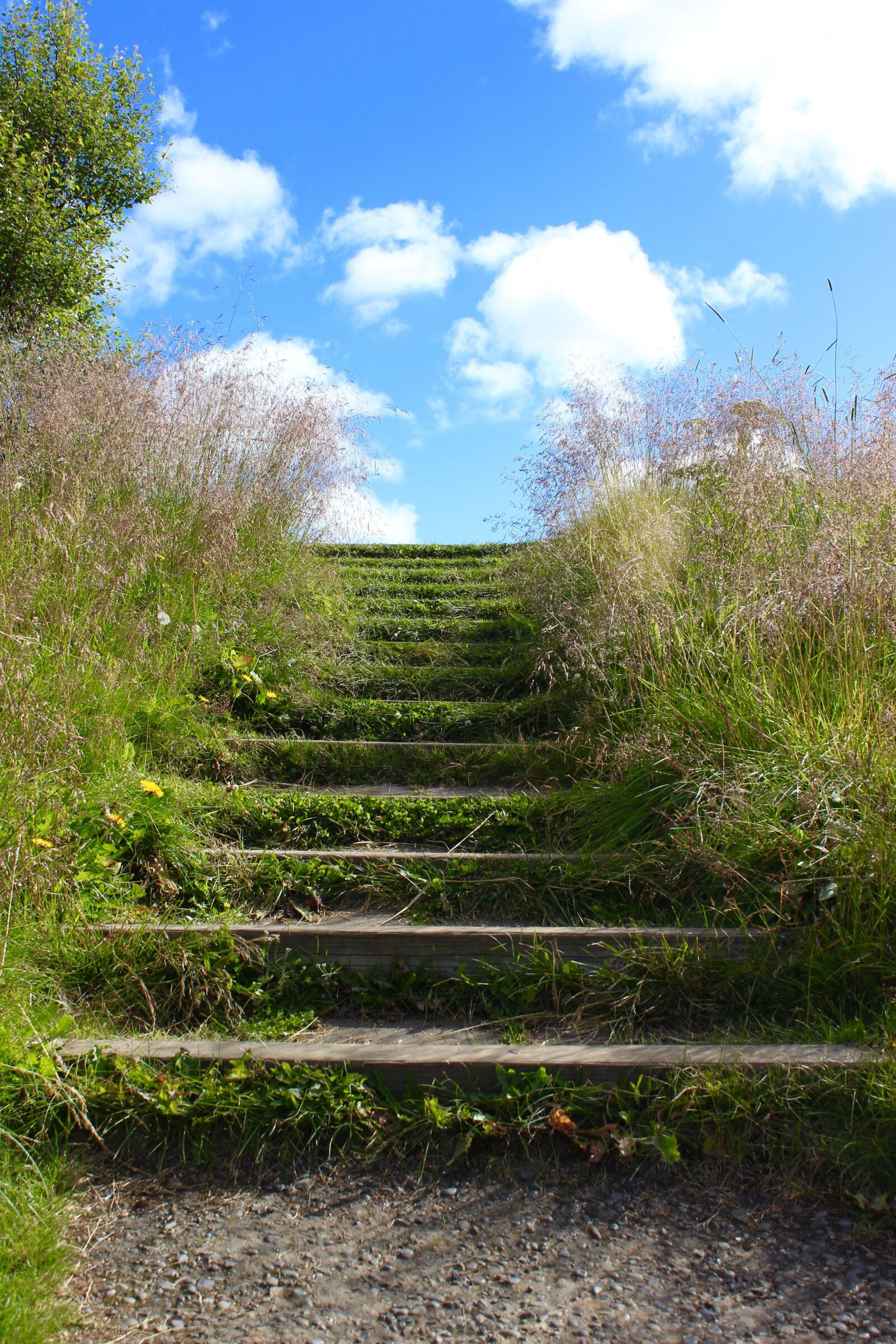 Canon EOS 600D (Rebel EOS T3i / EOS Kiss X5) sample photo. Stairway, stairway to heaven photography