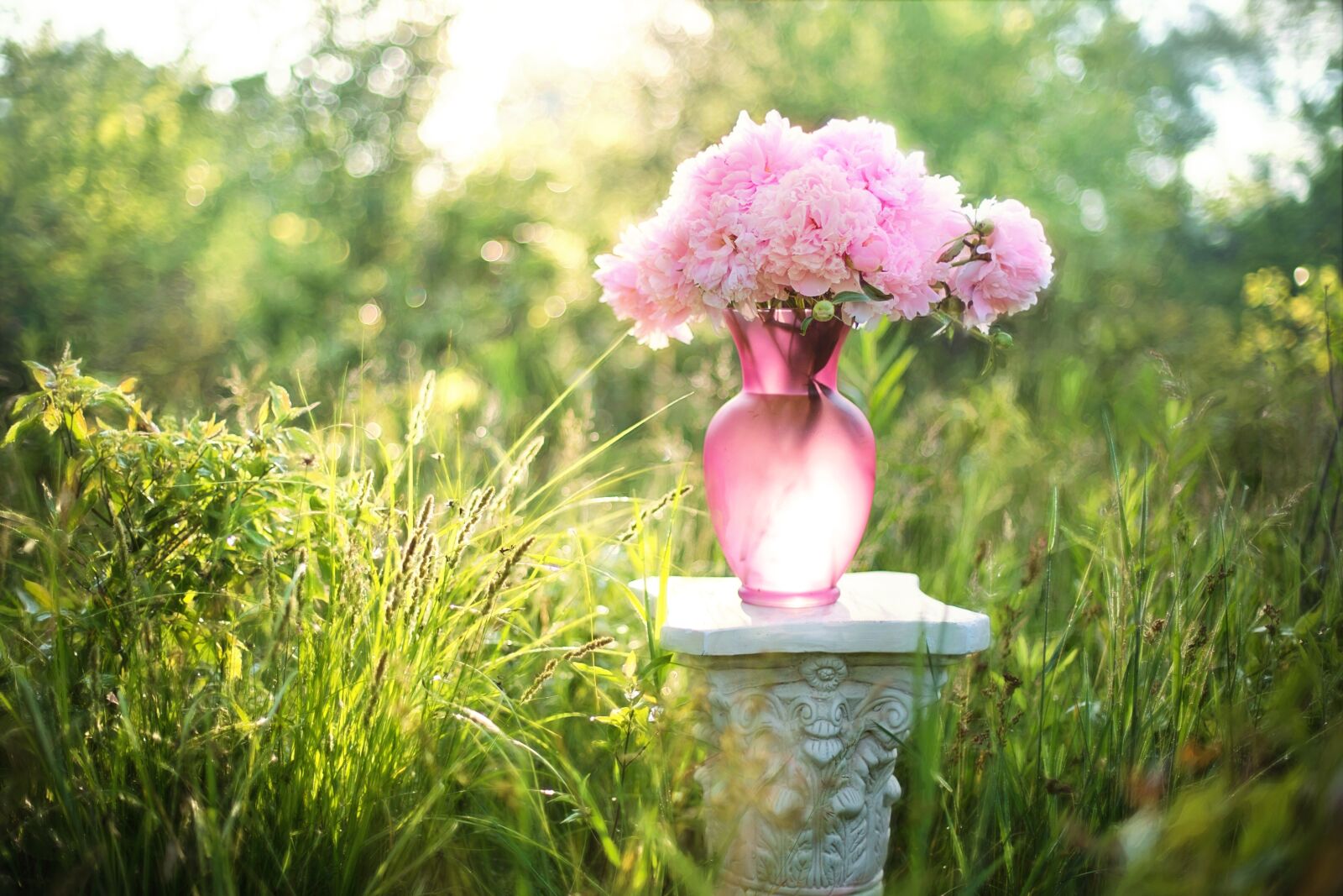 Canon EF 50mm F1.4 USM sample photo. Peonies, flowers, bouquet photography