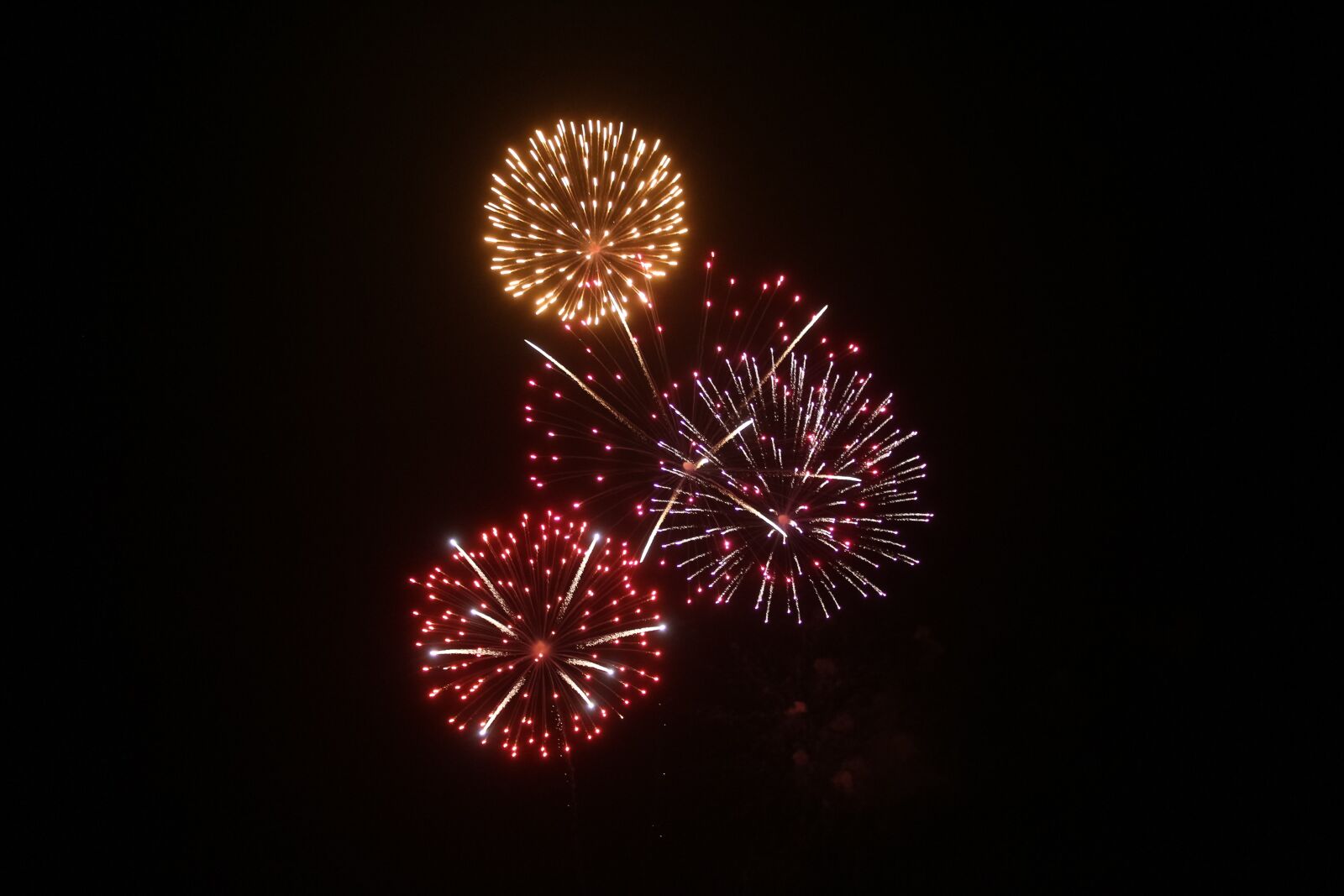 Canon EOS 100D (EOS Rebel SL1 / EOS Kiss X7) sample photo. Fireworks, celebration, celebrate photography