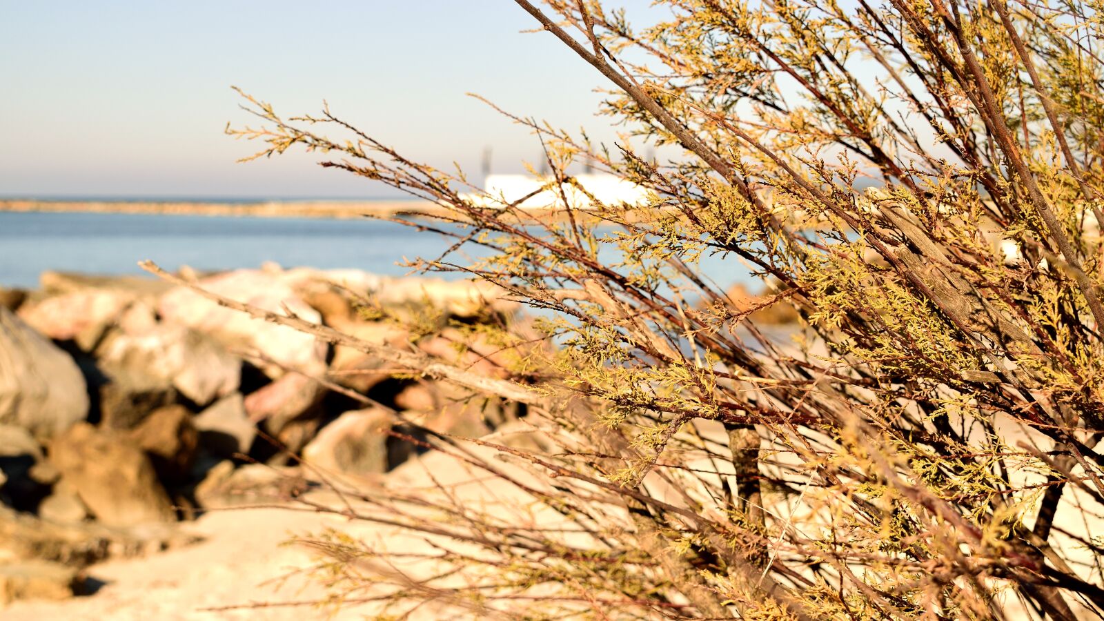 Nikon D3300 sample photo. Sea, beach, scoglio photography
