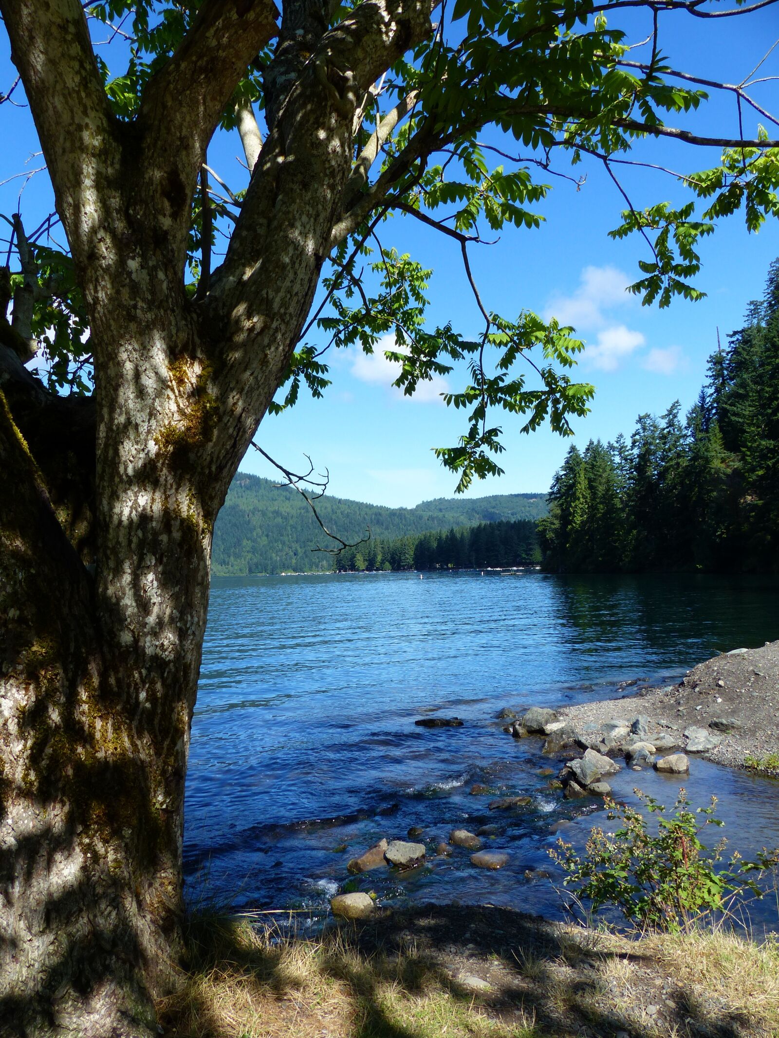 Panasonic Lumix DMC-FZ200 sample photo. Cultus lake, water, mountain photography