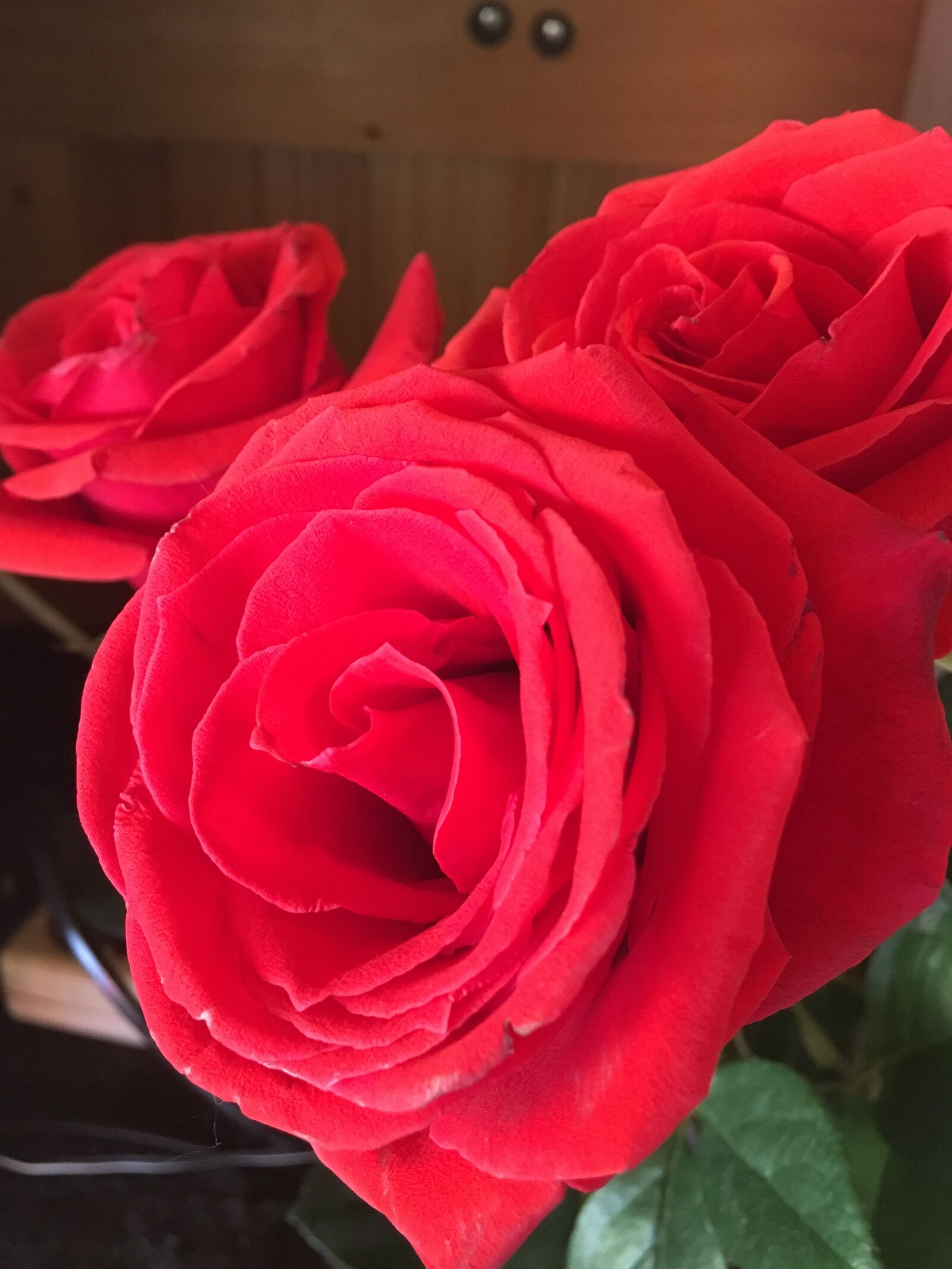 Apple iPhone 6s sample photo. Red, roses, flowers photography