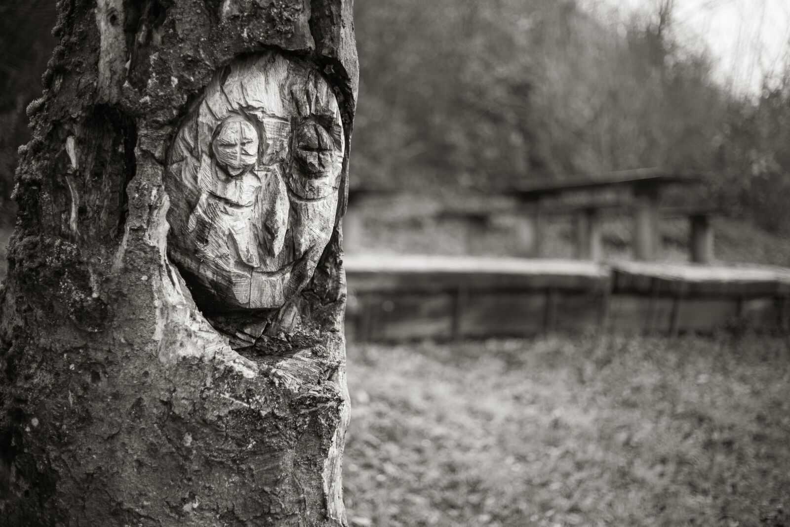 Canon EF 50mm F1.8 STM sample photo. Trunk, carving, carved photography