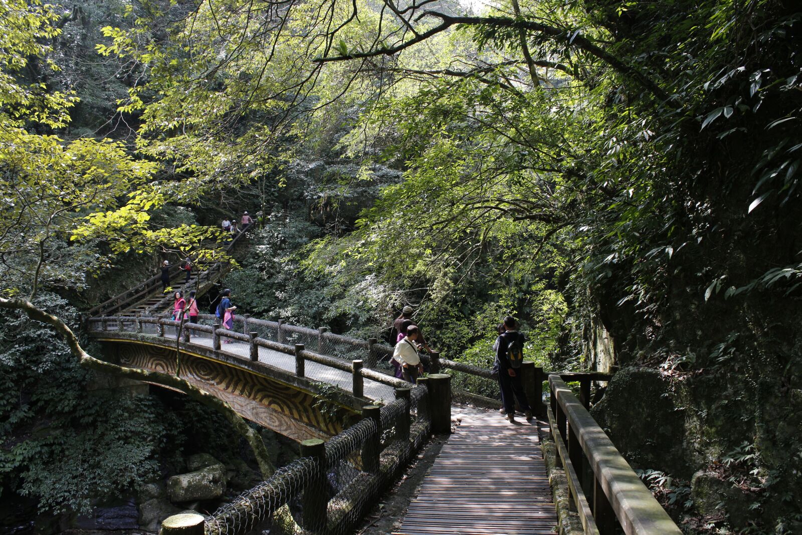Canon EOS 650D (EOS Rebel T4i / EOS Kiss X6i) sample photo. Wulai, trail, play game photography
