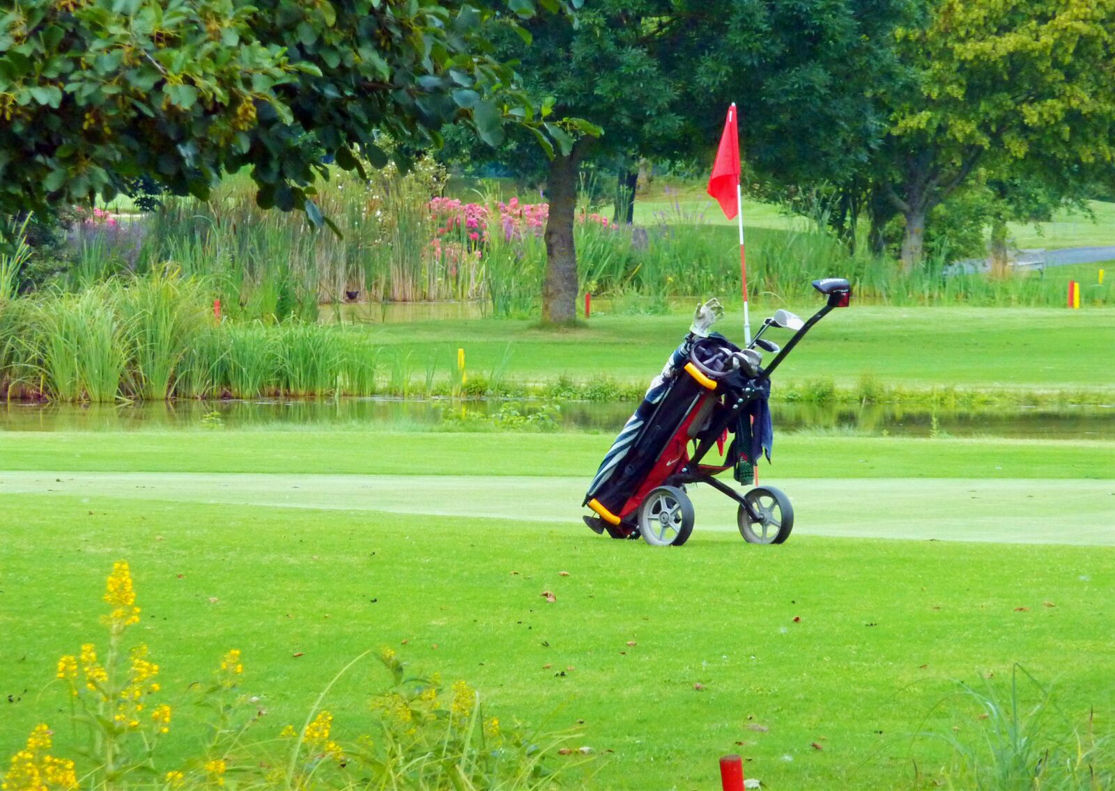Panasonic DMC-TZ7 sample photo. Golf caddy, golf, green photography