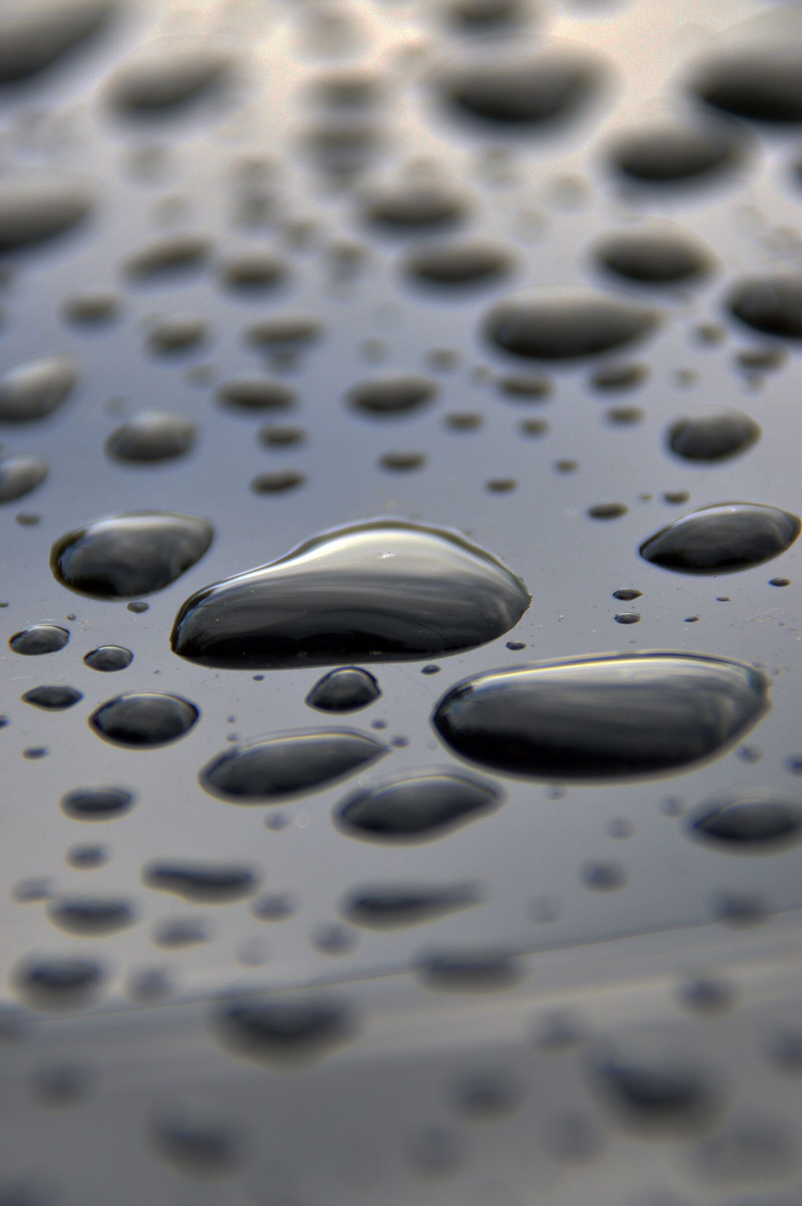 Nikon D3200 sample photo. Just add water, water photography