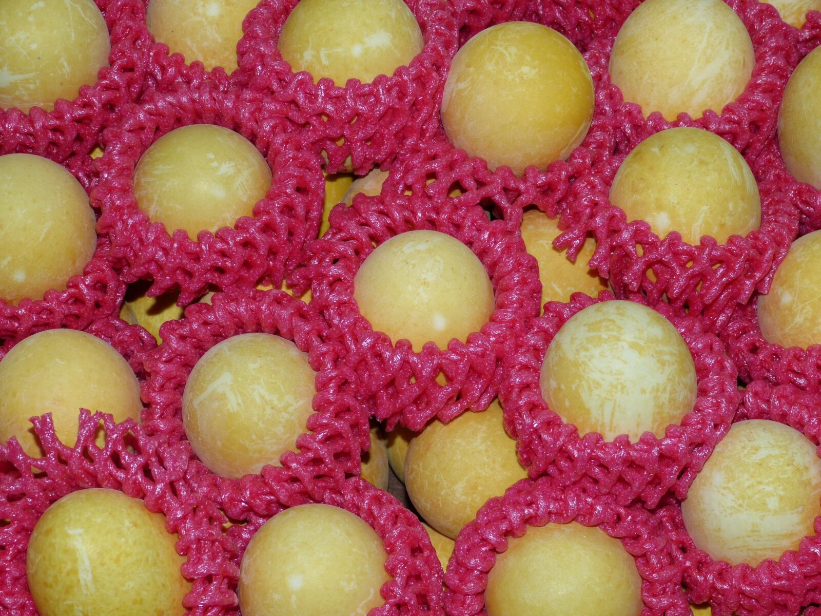 Panasonic Lumix DMC-FZ150 sample photo. Fruit, tropics, exotic photography