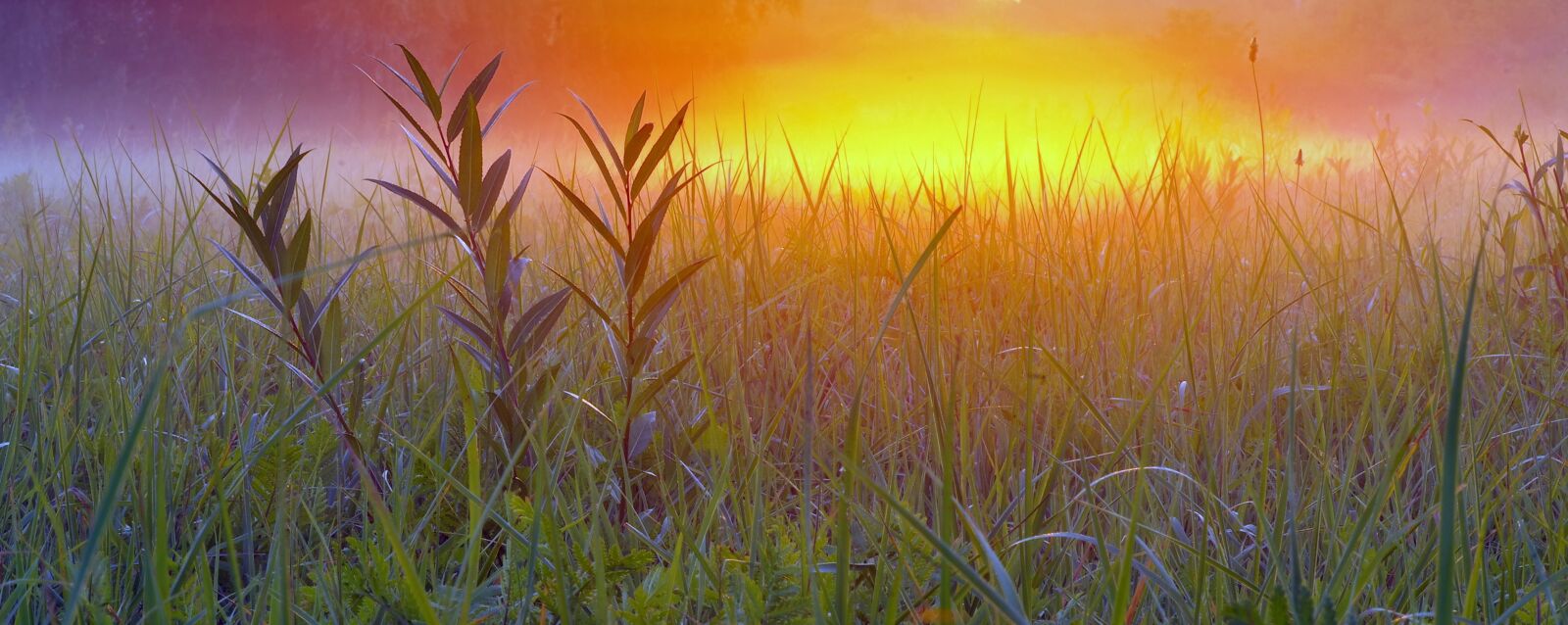 Pentax K-S2 sample photo. Sunrise, colorful, the sun photography