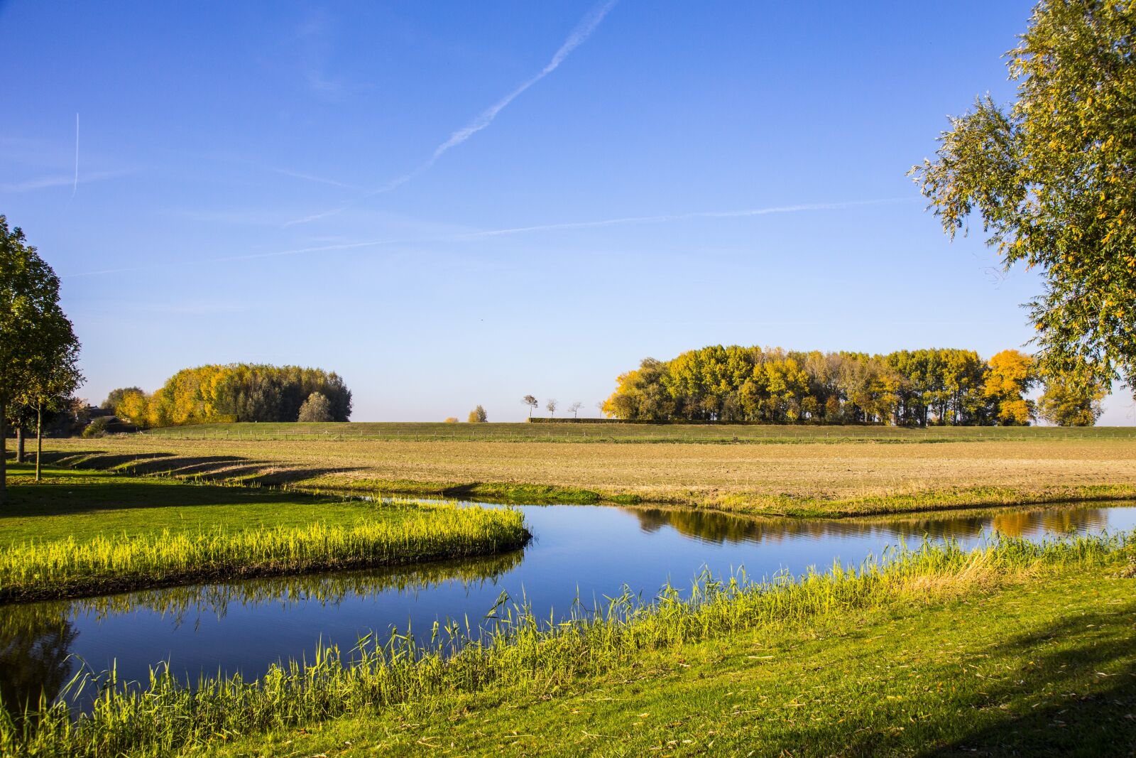 Canon EOS 6D + Canon EF 24-105mm F4L IS USM sample photo. Holland, landscape, netherlands photography