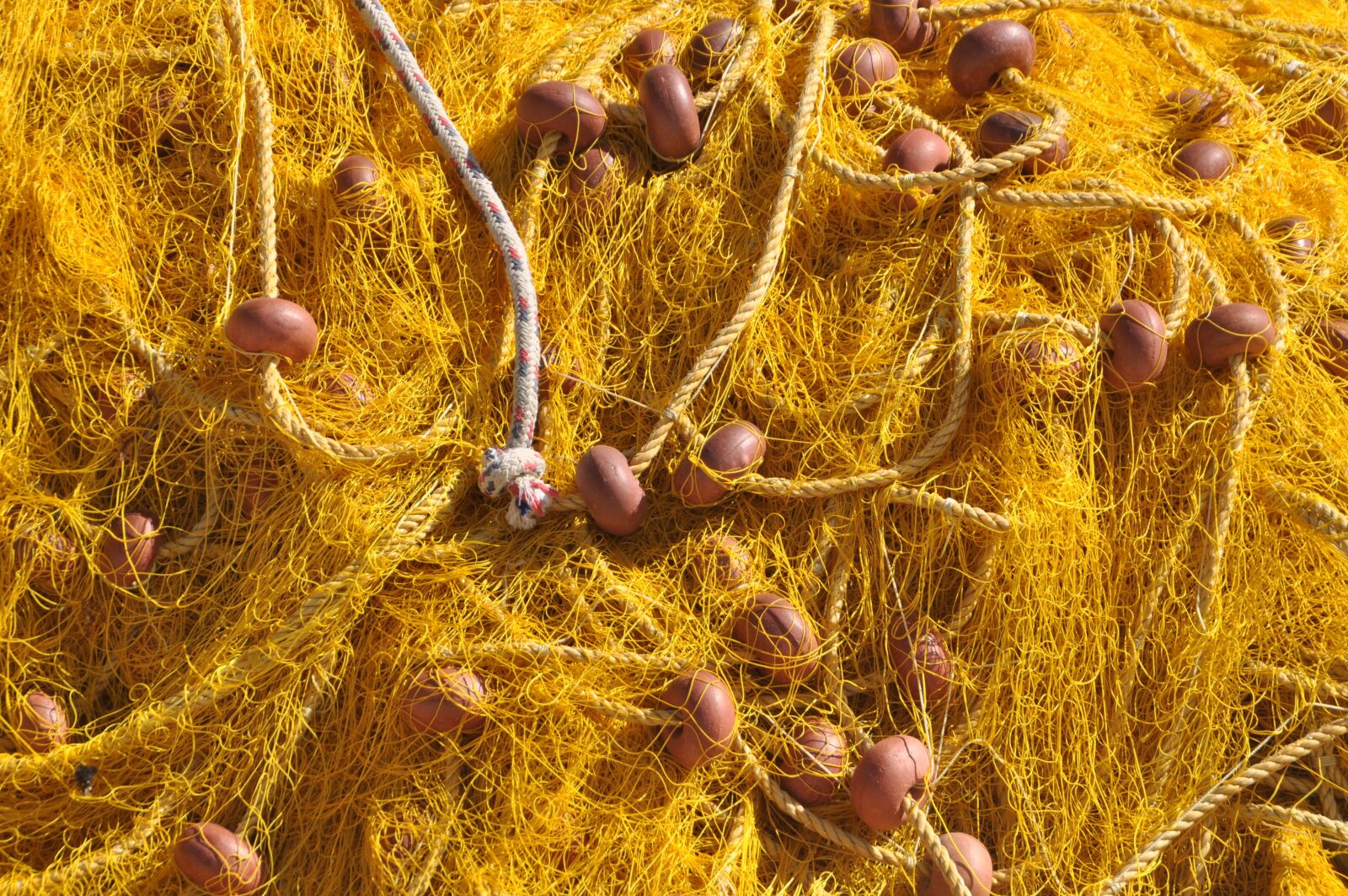 Nikon D5000 sample photo. Fishing net, yellow, sea photography
