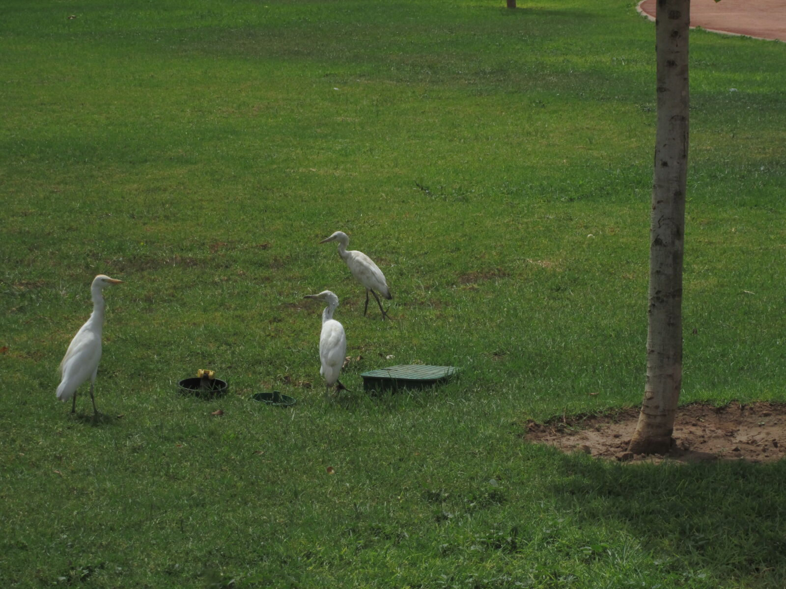 Canon PowerShot A2500 sample photo