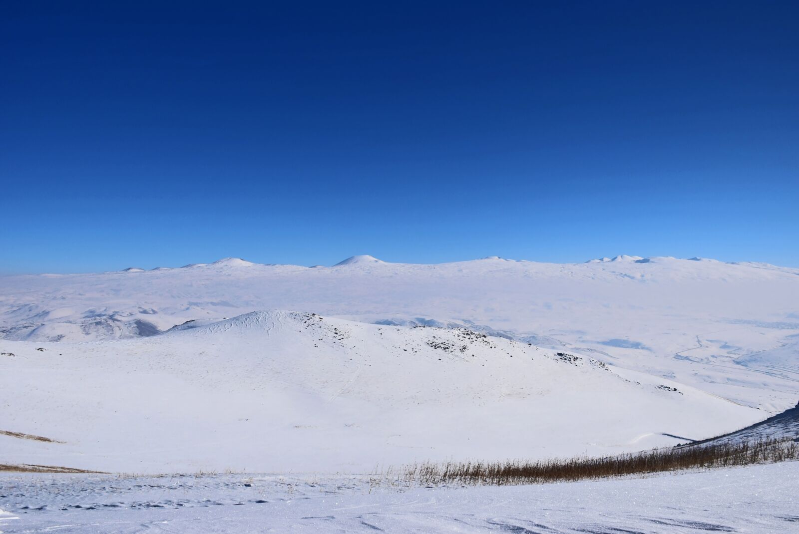 Nikon D5300 sample photo. Nature, nature background, land photography
