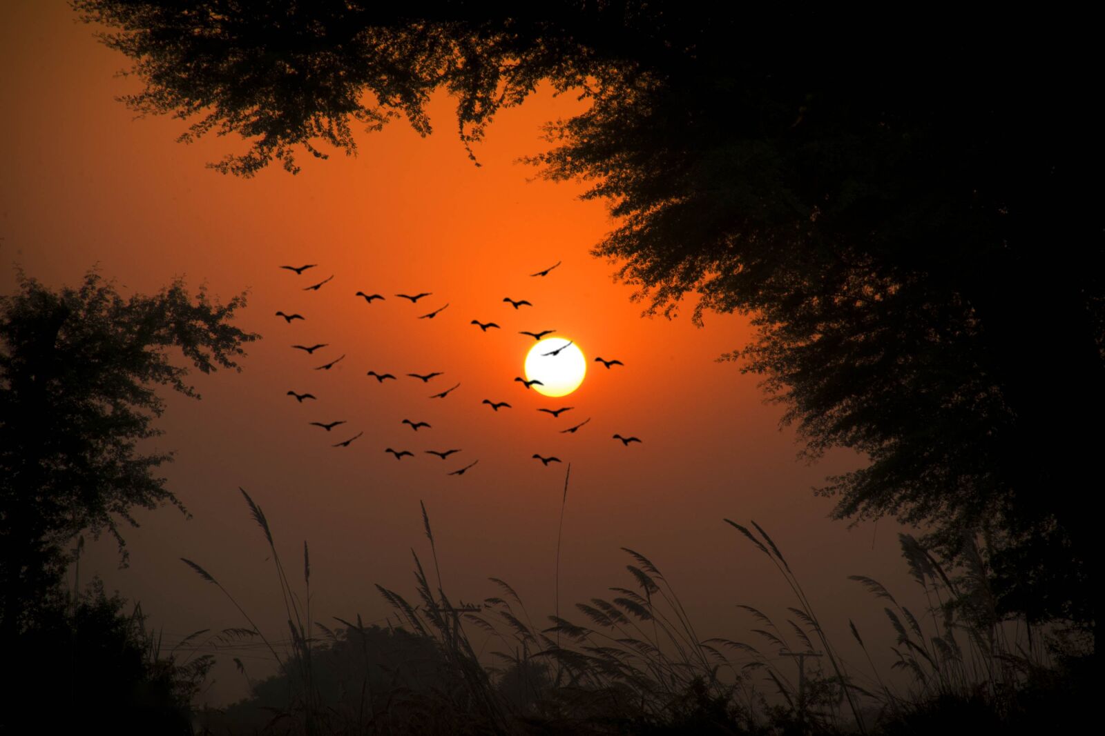 Nikon D7100 sample photo. Sunset, sun, dusk photography