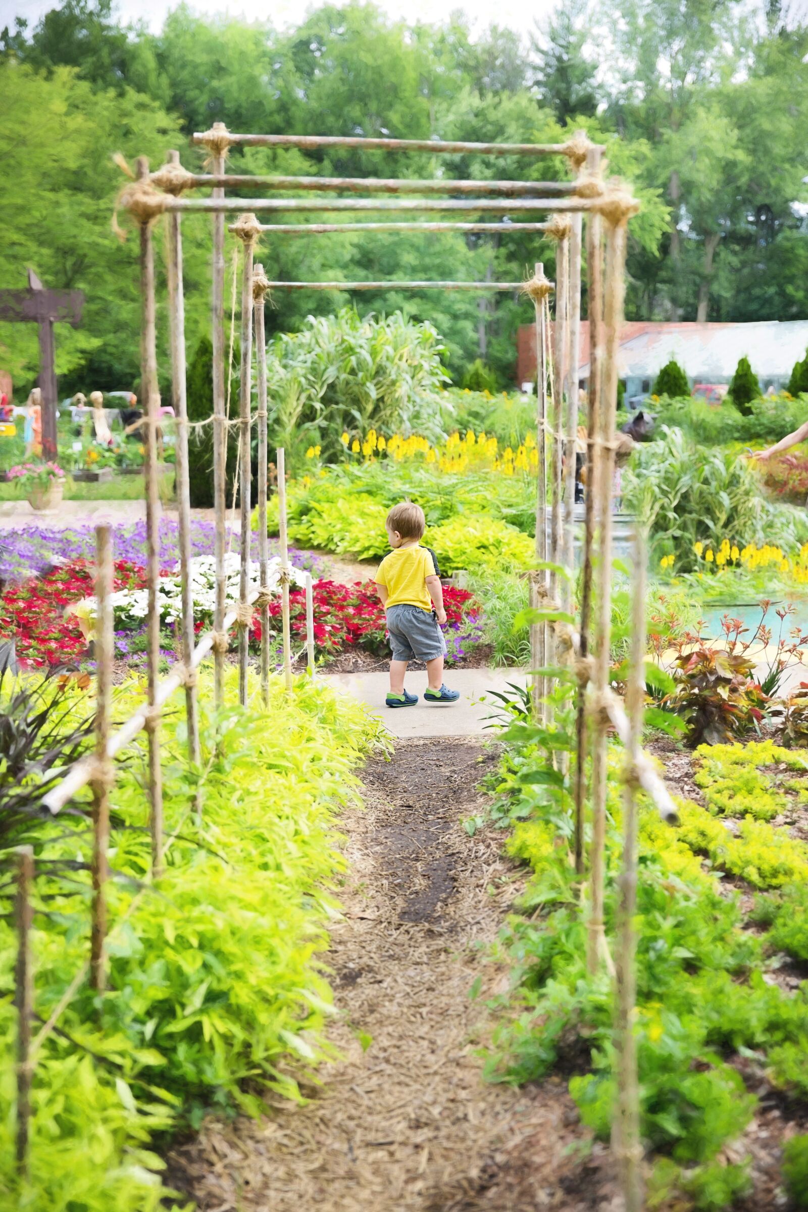 Canon EF 24-70mm F2.8L II USM sample photo. Garden, arbor, green photography