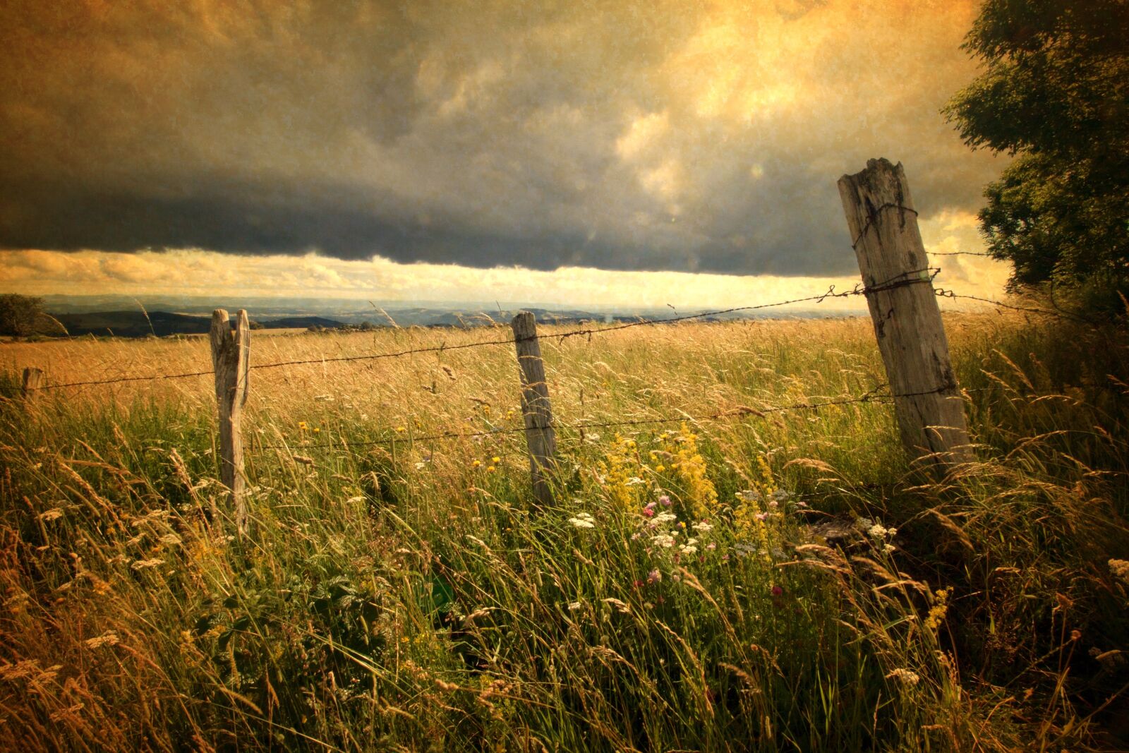 Canon EOS 70D sample photo. Field, sky, france photography