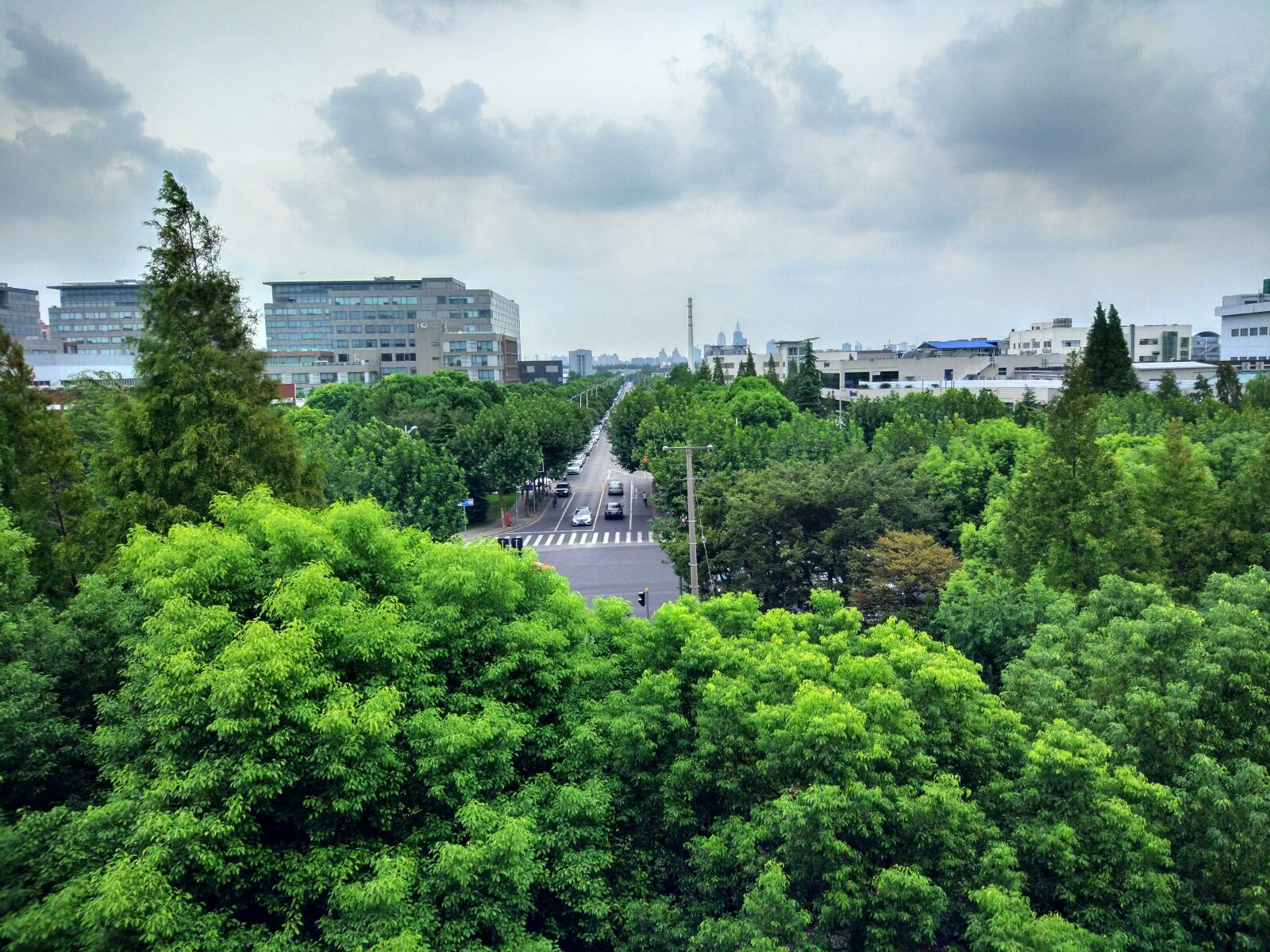 Xiaomi MI 5 sample photo. Woods, sky, green photography