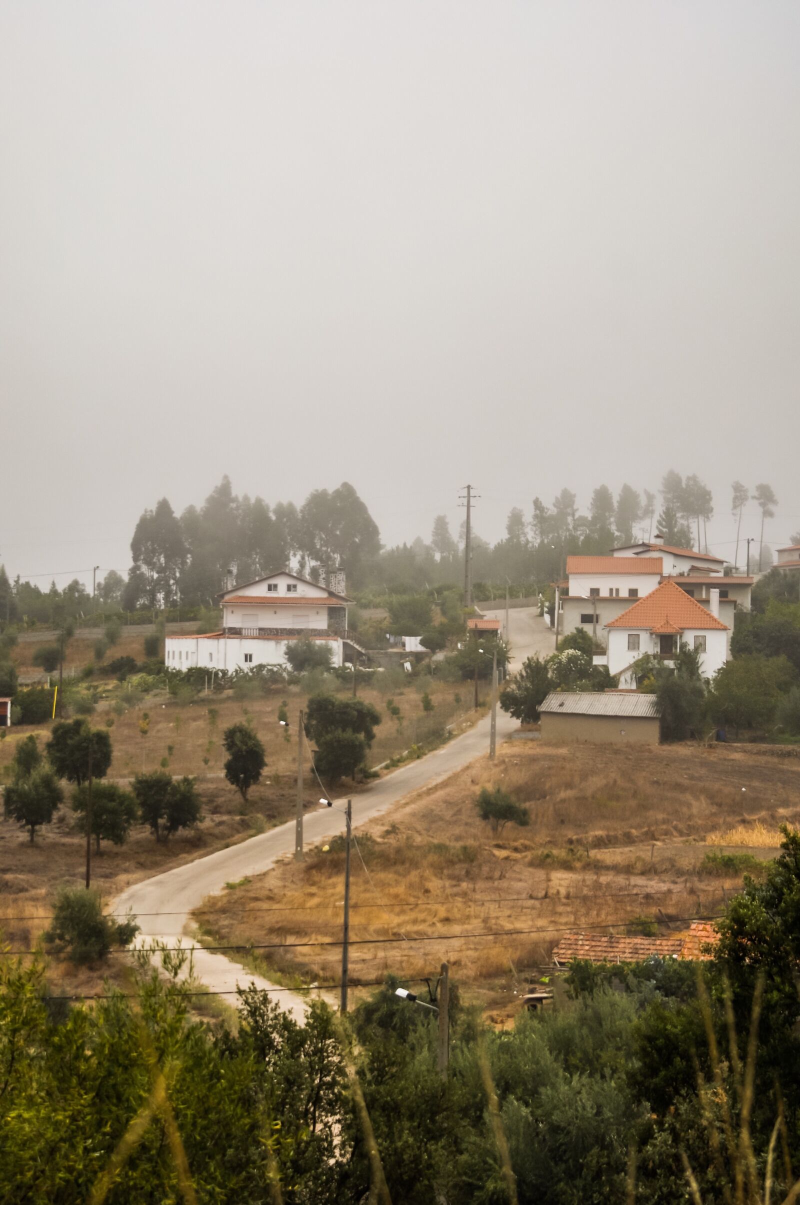 Nikon D90 sample photo. Mist, road, village photography