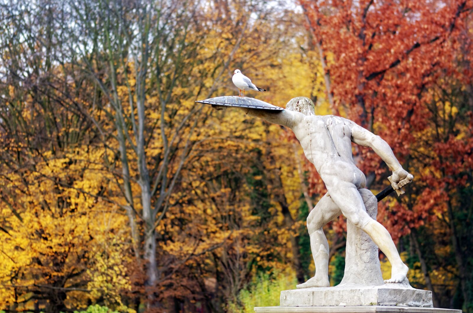 Nikon D5100 sample photo. Landscape, autumn, nature photography