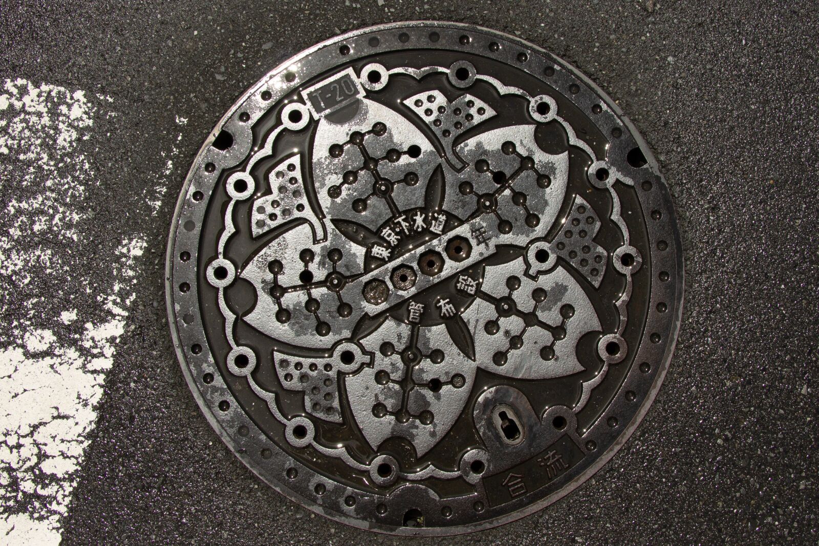 Canon EF-S 18-135mm F3.5-5.6 IS USM sample photo. Manhole cover, road, tokyo photography